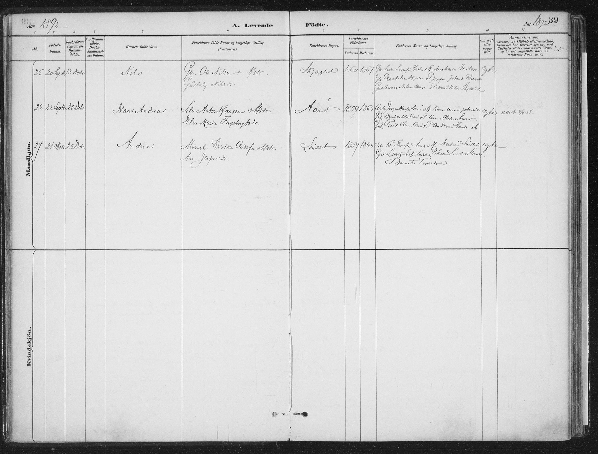 Ministerialprotokoller, klokkerbøker og fødselsregistre - Møre og Romsdal, SAT/A-1454/555/L0658: Ministerialbok nr. 555A09, 1887-1917, s. 39