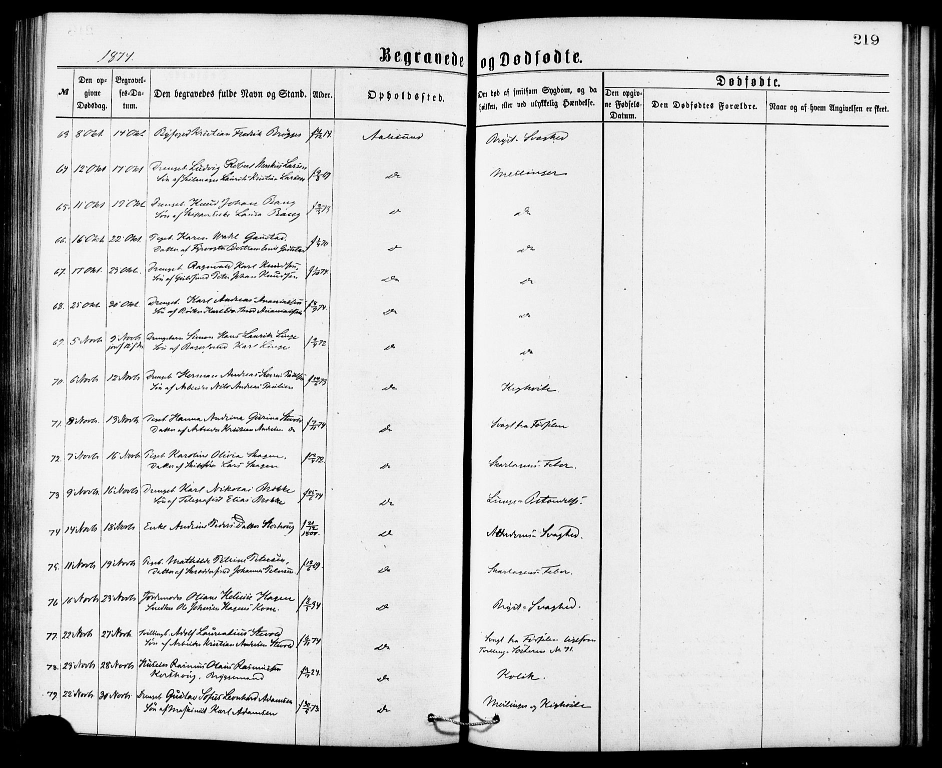 Ministerialprotokoller, klokkerbøker og fødselsregistre - Møre og Romsdal, AV/SAT-A-1454/529/L0453: Ministerialbok nr. 529A03, 1872-1877, s. 219