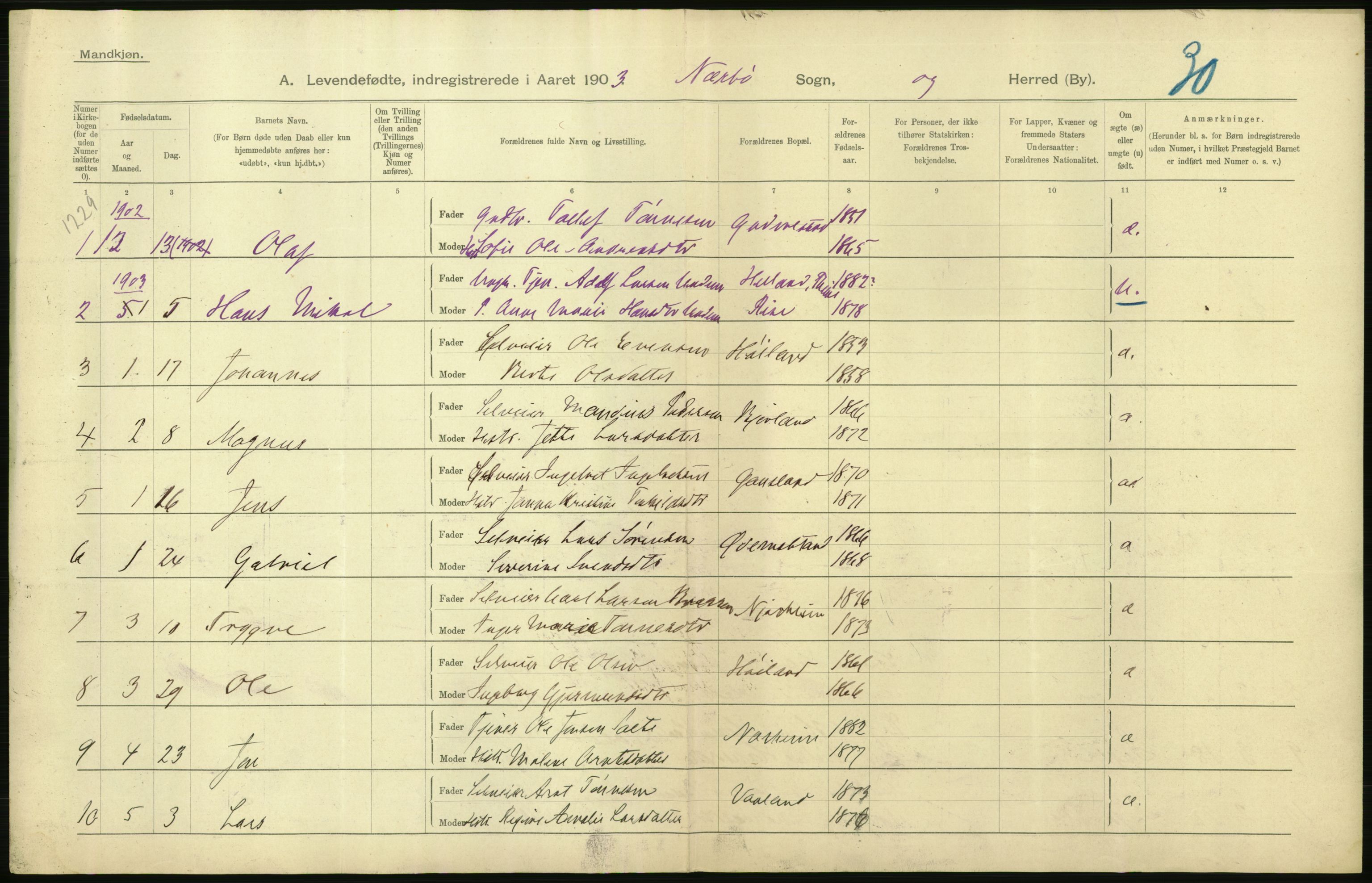 Statistisk sentralbyrå, Sosiodemografiske emner, Befolkning, AV/RA-S-2228/D/Df/Dfa/Dfaa/L0012: Stavanger amt: Fødte, gifte, døde, 1903, s. 48