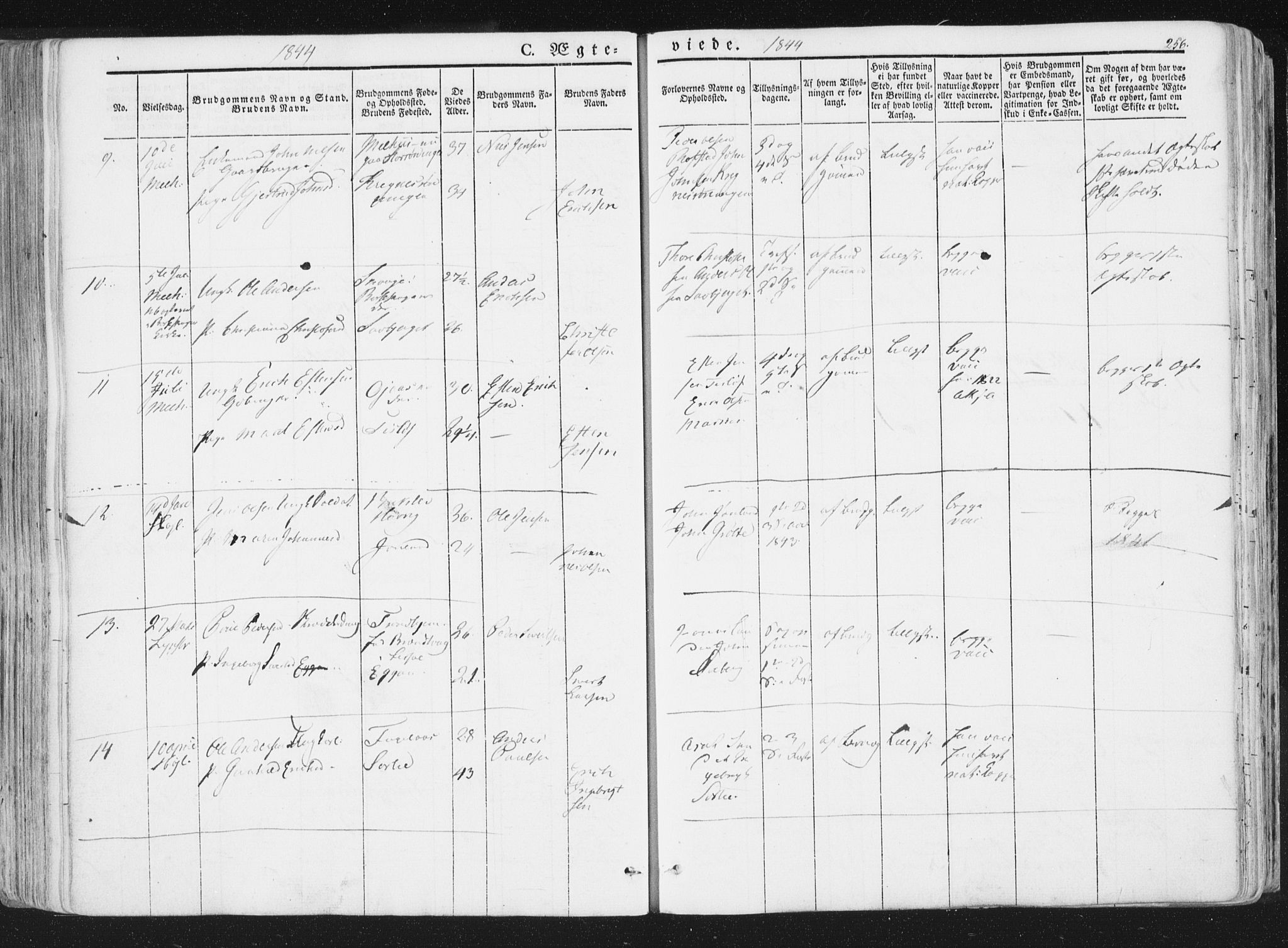 Ministerialprotokoller, klokkerbøker og fødselsregistre - Sør-Trøndelag, SAT/A-1456/691/L1074: Ministerialbok nr. 691A06, 1842-1852, s. 256