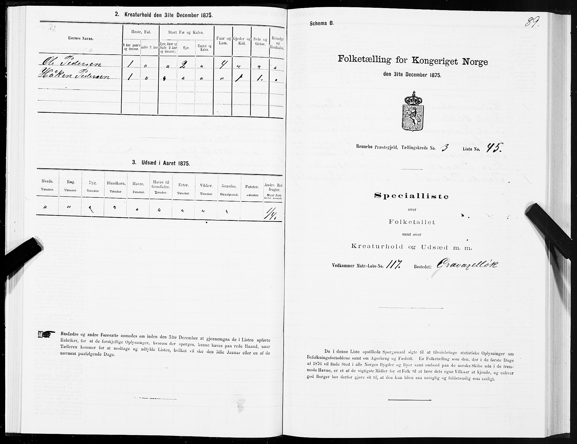 SAT, Folketelling 1875 for 1635P Rennebu prestegjeld, 1875, s. 2089