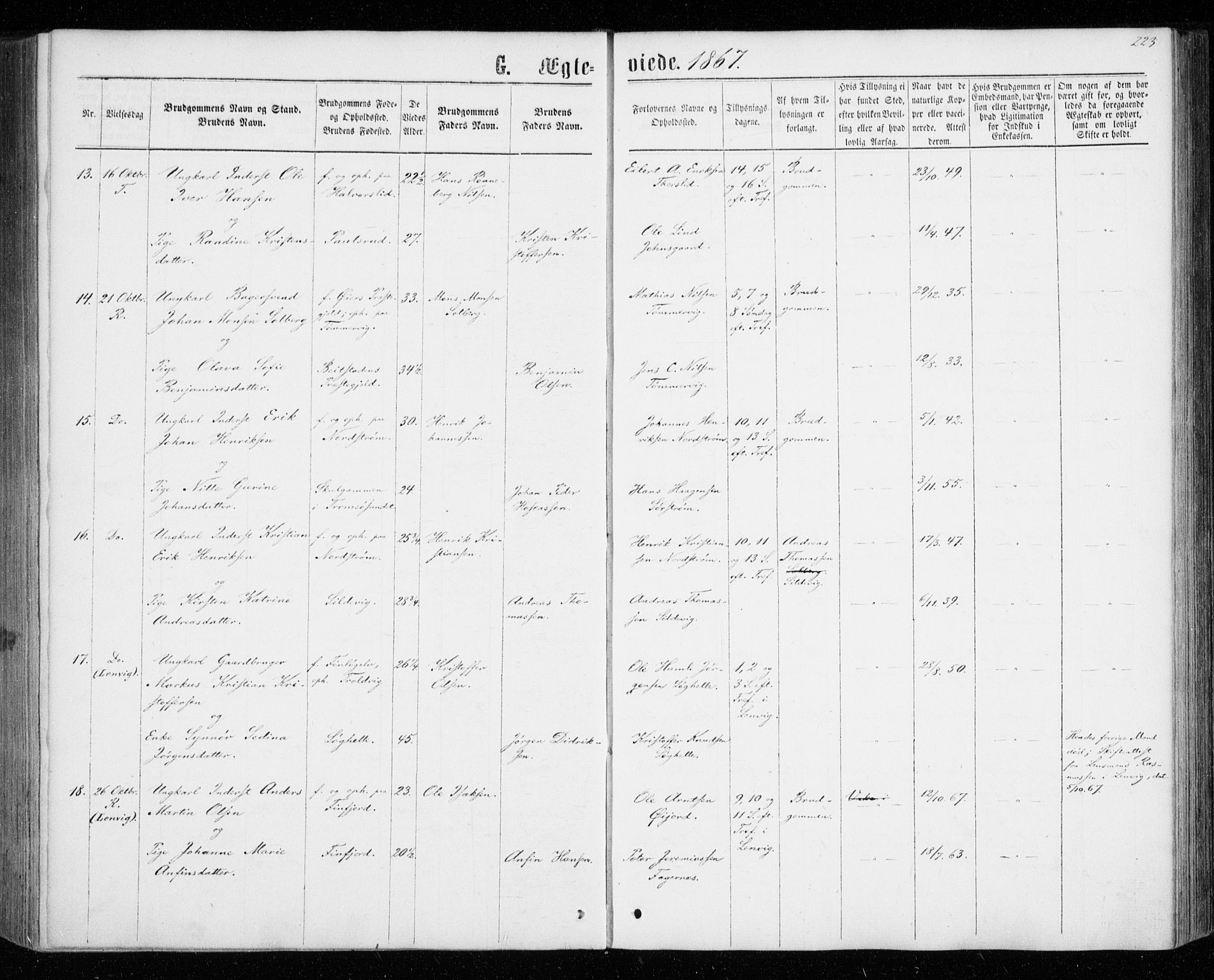 Tranøy sokneprestkontor, SATØ/S-1313/I/Ia/Iaa/L0008kirke: Ministerialbok nr. 8, 1867-1877, s. 223