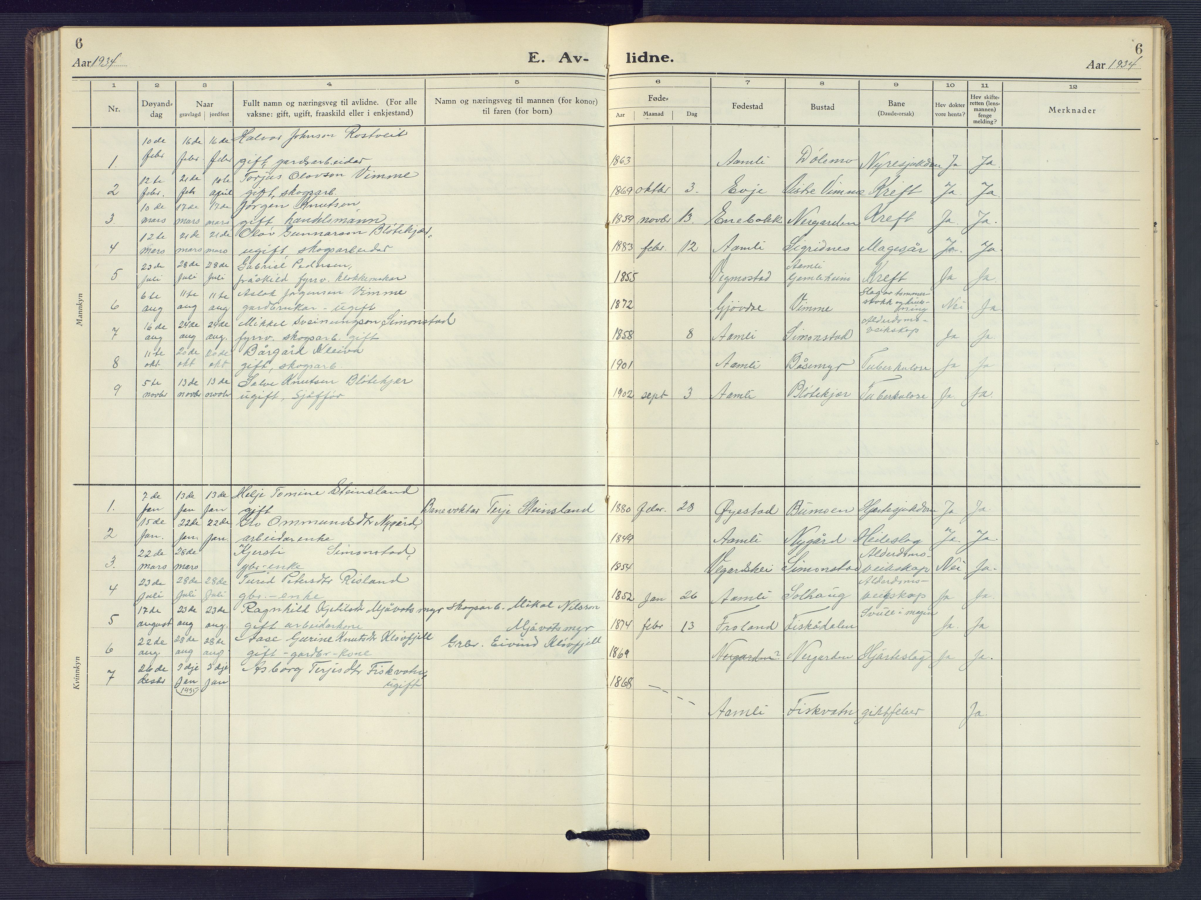 Åmli sokneprestkontor, AV/SAK-1111-0050/F/Fb/Fbc/L0007: Klokkerbok nr. B 7, 1929-1960, s. 6