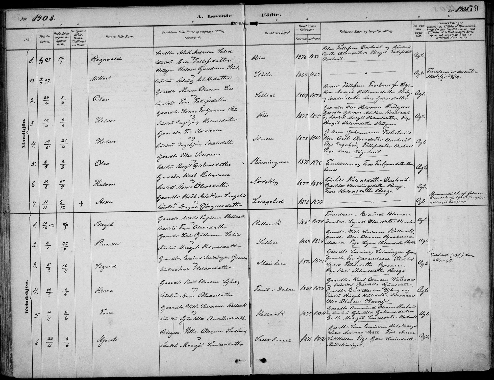 Kviteseid kirkebøker, AV/SAKO-A-276/F/Fb/L0002: Ministerialbok nr. II 2, 1882-1916, s. 79