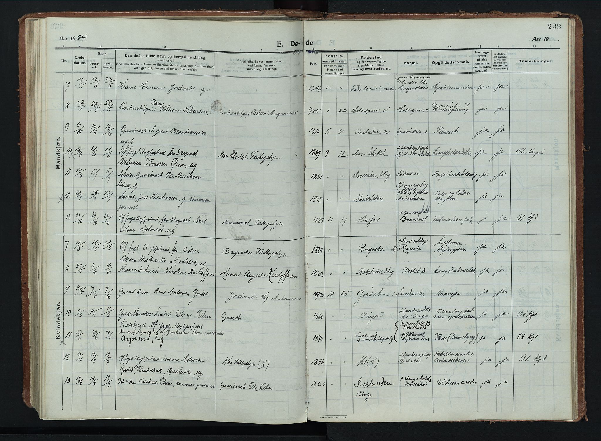Stange prestekontor, AV/SAH-PREST-002/K/L0028: Ministerialbok nr. 28, 1913-1932, s. 233
