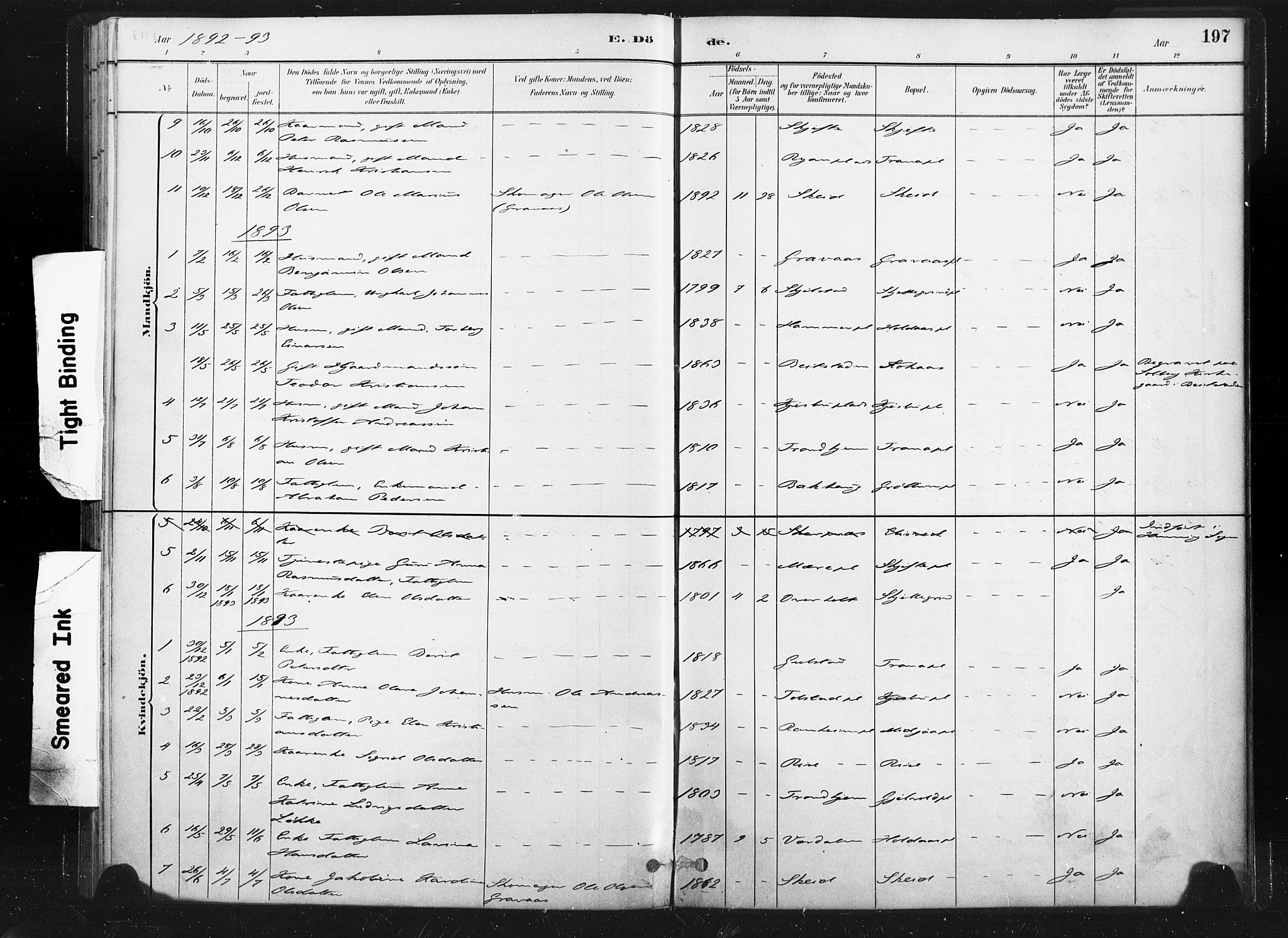 Ministerialprotokoller, klokkerbøker og fødselsregistre - Nord-Trøndelag, SAT/A-1458/736/L0361: Ministerialbok nr. 736A01, 1884-1906, s. 197