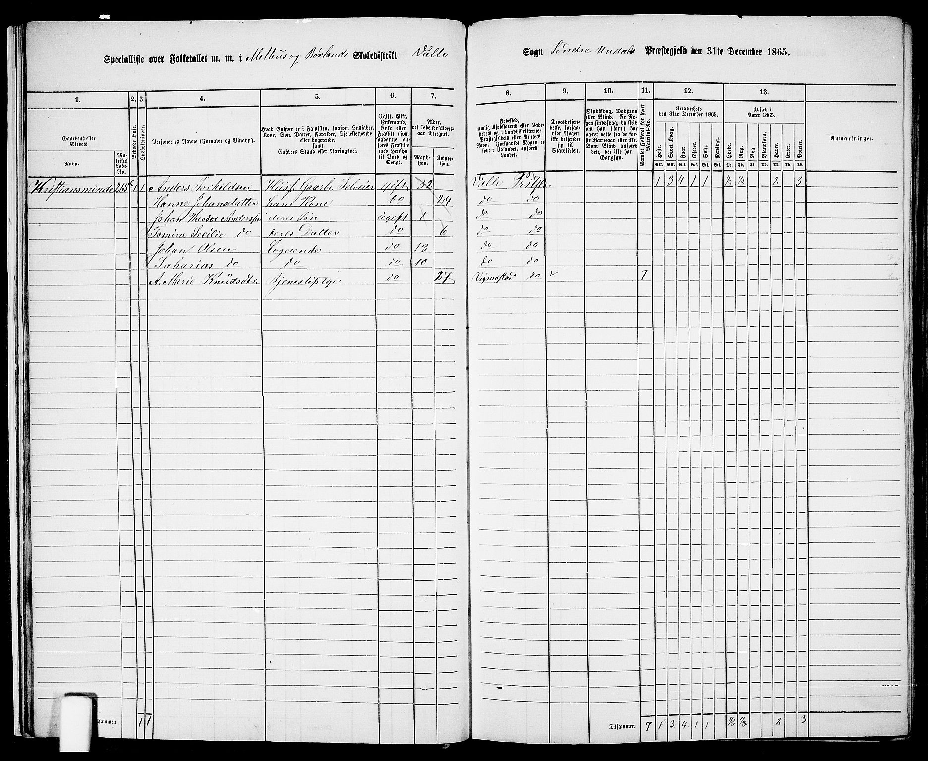 RA, Folketelling 1865 for 1029P Sør-Audnedal prestegjeld, 1865, s. 24