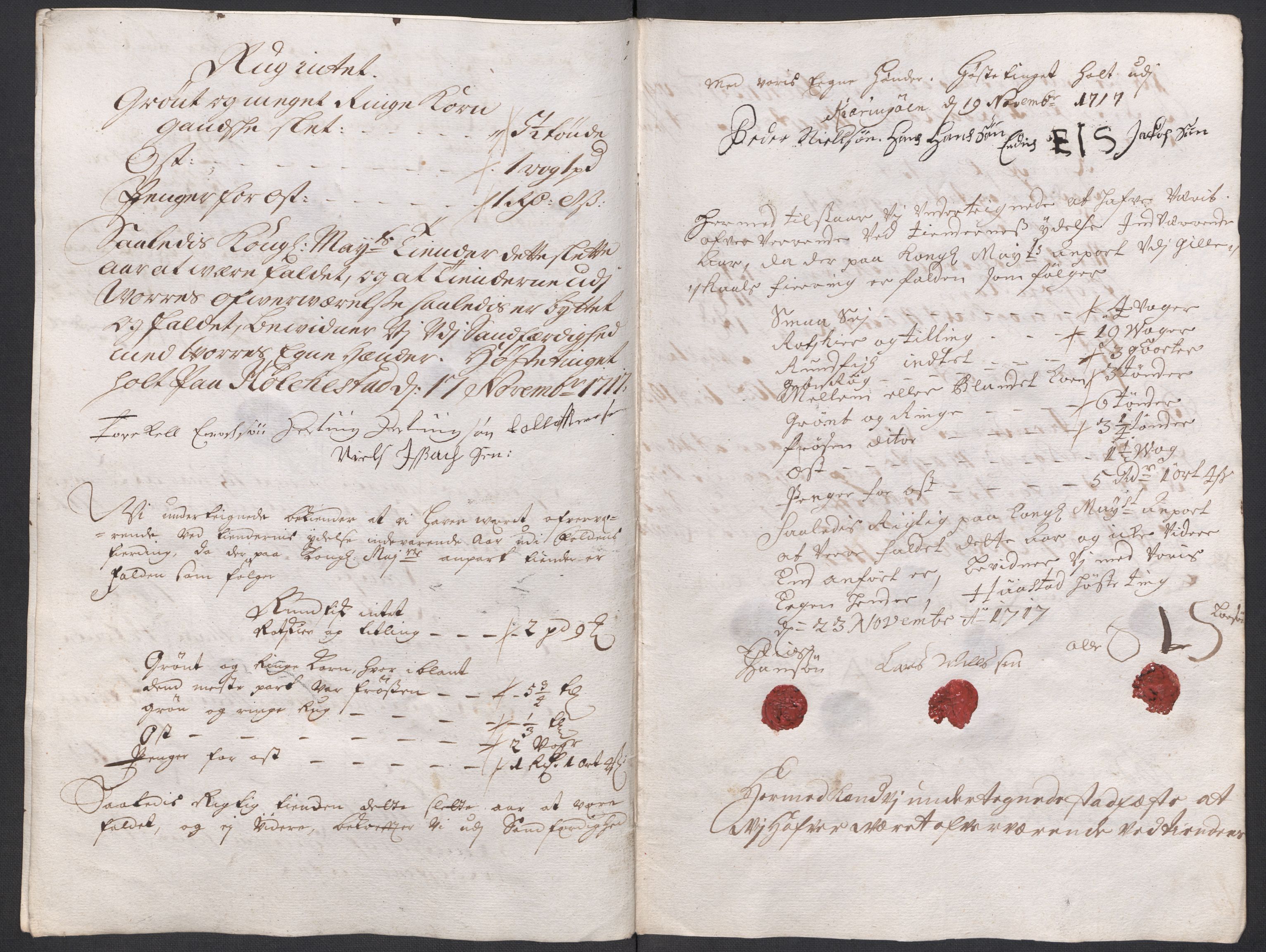 Rentekammeret inntil 1814, Reviderte regnskaper, Fogderegnskap, AV/RA-EA-4092/R66/L4587: Fogderegnskap Salten, 1717, s. 282