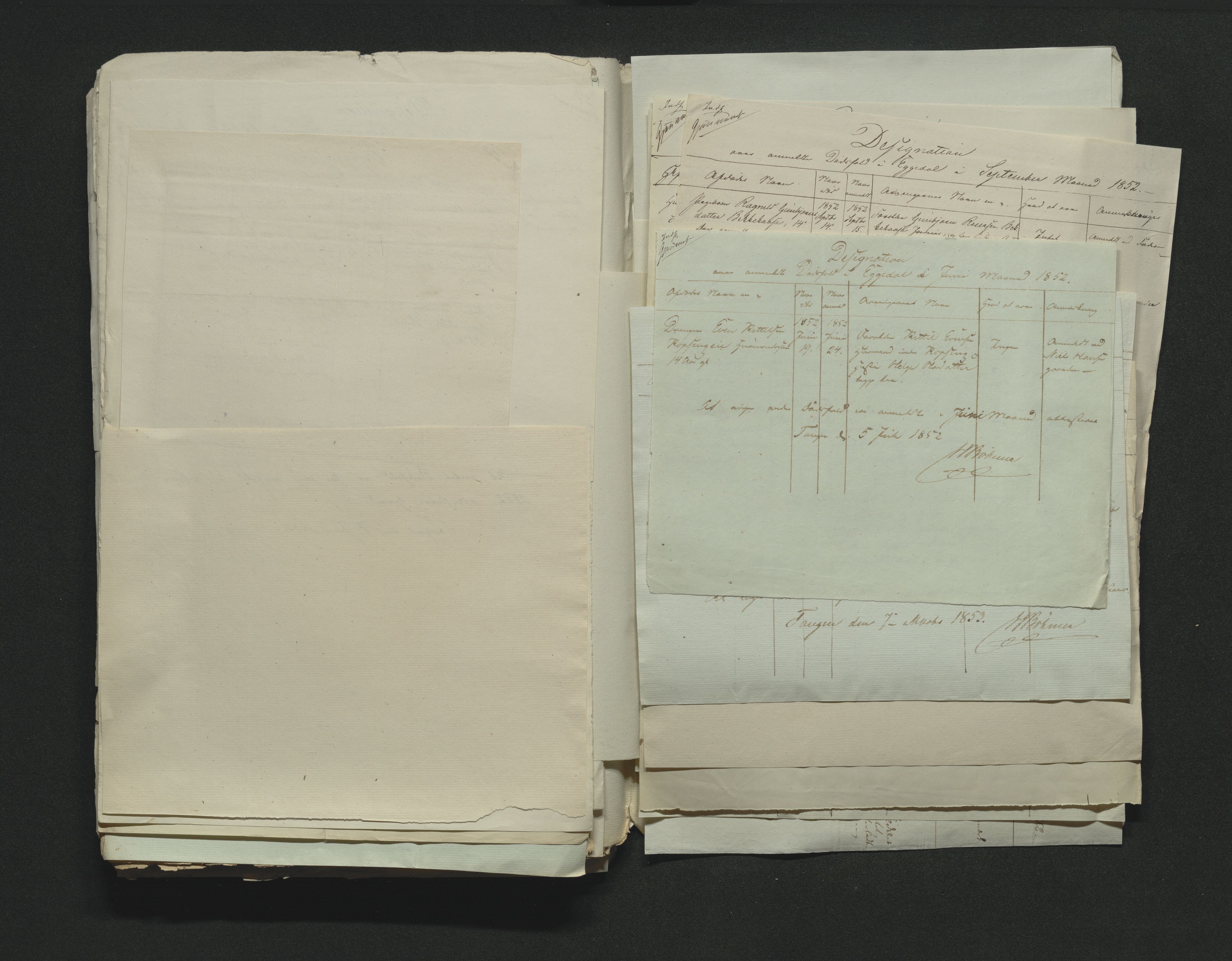 Eiker, Modum og Sigdal sorenskriveri, AV/SAKO-A-123/H/Ha/Hab/L0008: Dødsfallsmeldinger, 1850-1853