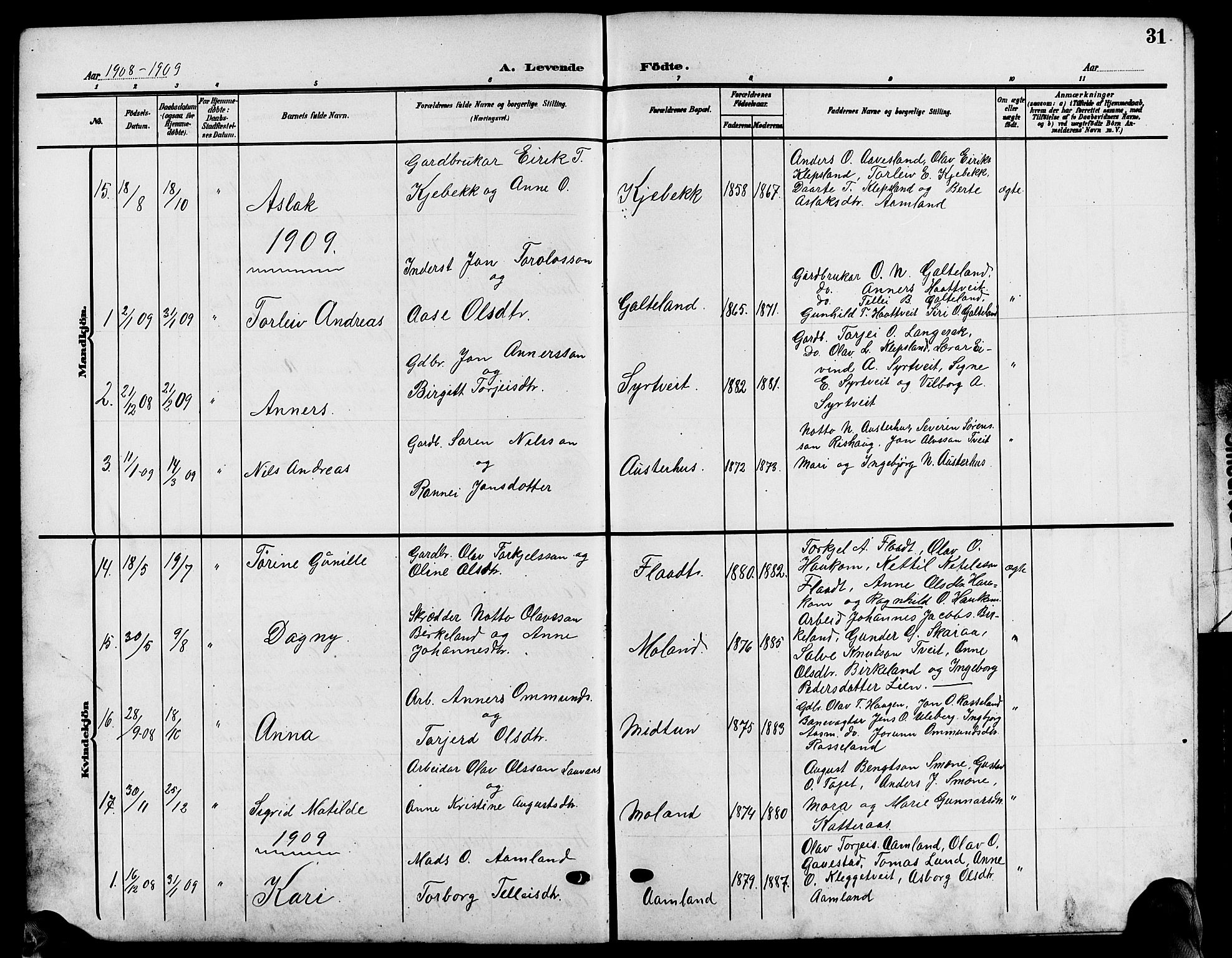 Evje sokneprestkontor, AV/SAK-1111-0008/F/Fb/Fba/L0004: Klokkerbok nr. B 4, 1899-1914, s. 31