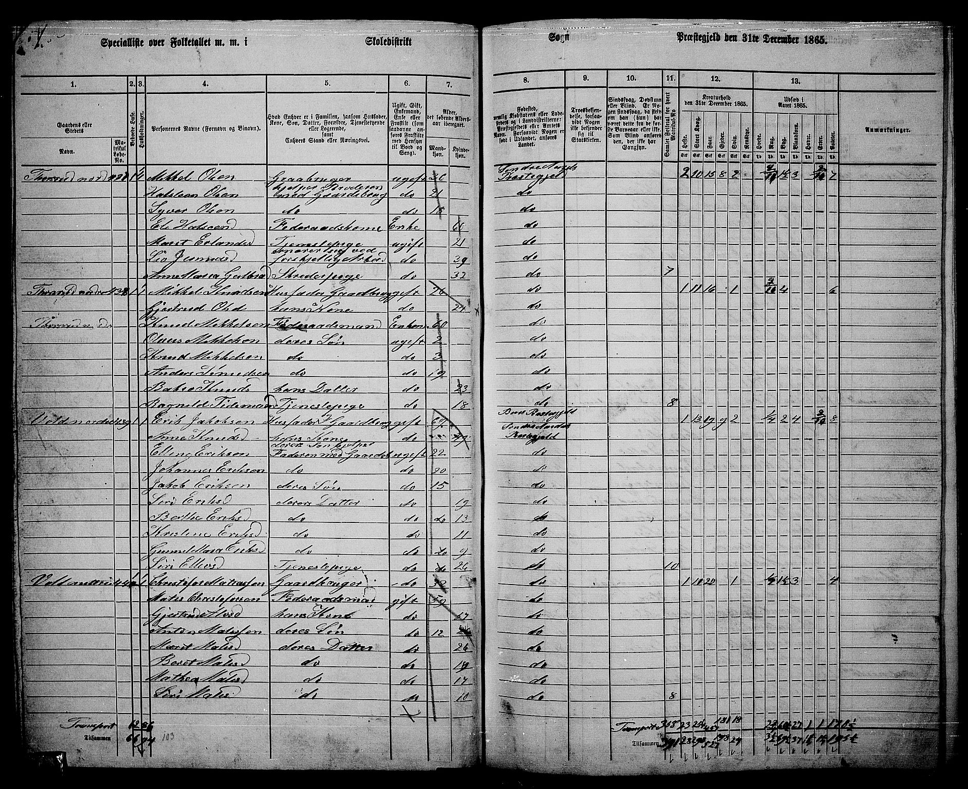 RA, Folketelling 1865 for 0540P Sør-Aurdal prestegjeld, 1865, s. 62