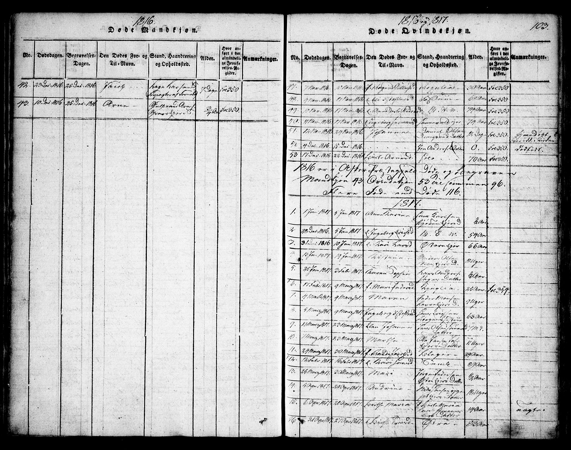 Asker prestekontor Kirkebøker, AV/SAO-A-10256a/F/Fa/L0006: Ministerialbok nr. I 6, 1814-1824, s. 103