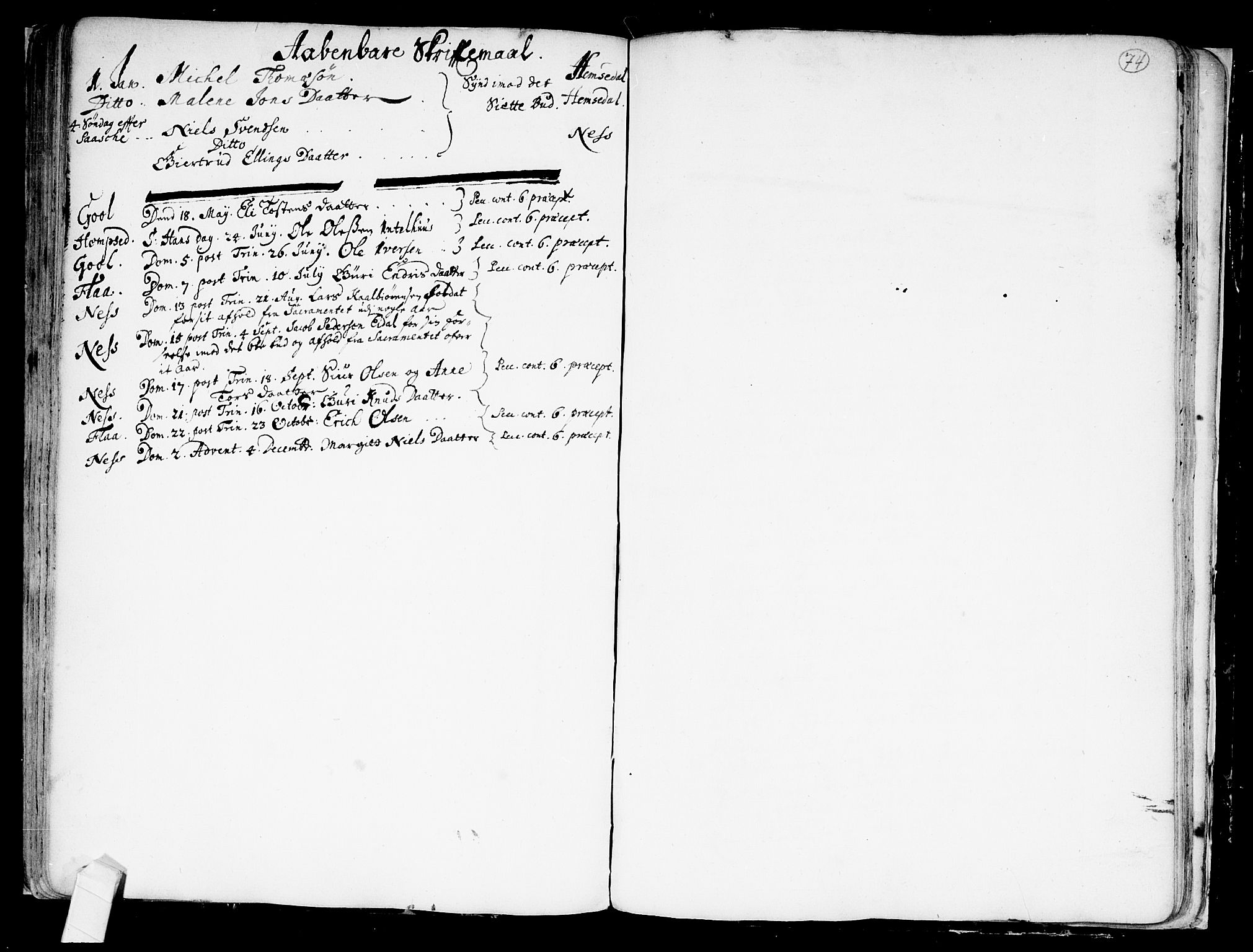 Nes kirkebøker, SAKO/A-236/F/Fa/L0001: Ministerialbok nr. 1, 1693-1706, s. 74