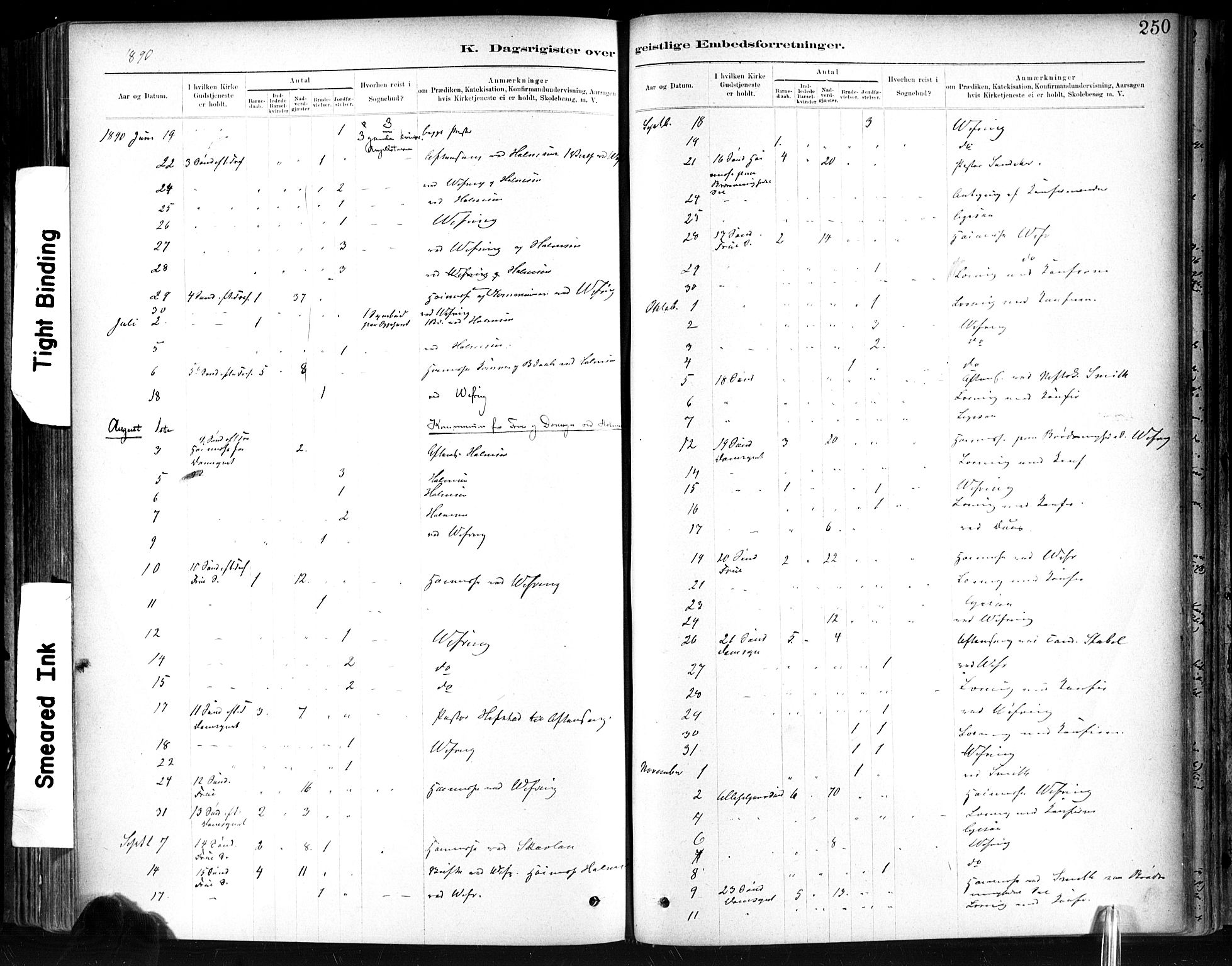 Ministerialprotokoller, klokkerbøker og fødselsregistre - Sør-Trøndelag, SAT/A-1456/602/L0120: Ministerialbok nr. 602A18, 1880-1913, s. 250