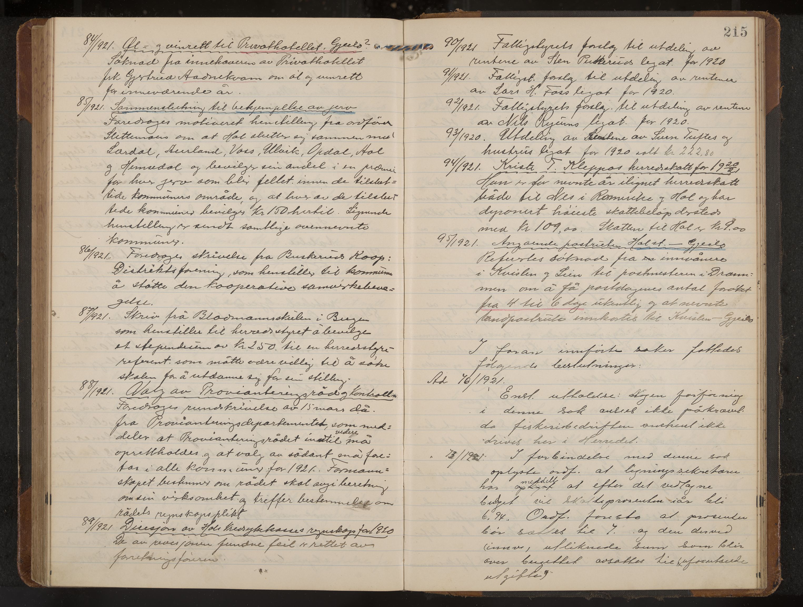 Hol formannskap og sentraladministrasjon, IKAK/0620021-1/A/L0006: Møtebok, 1916-1922, s. 215