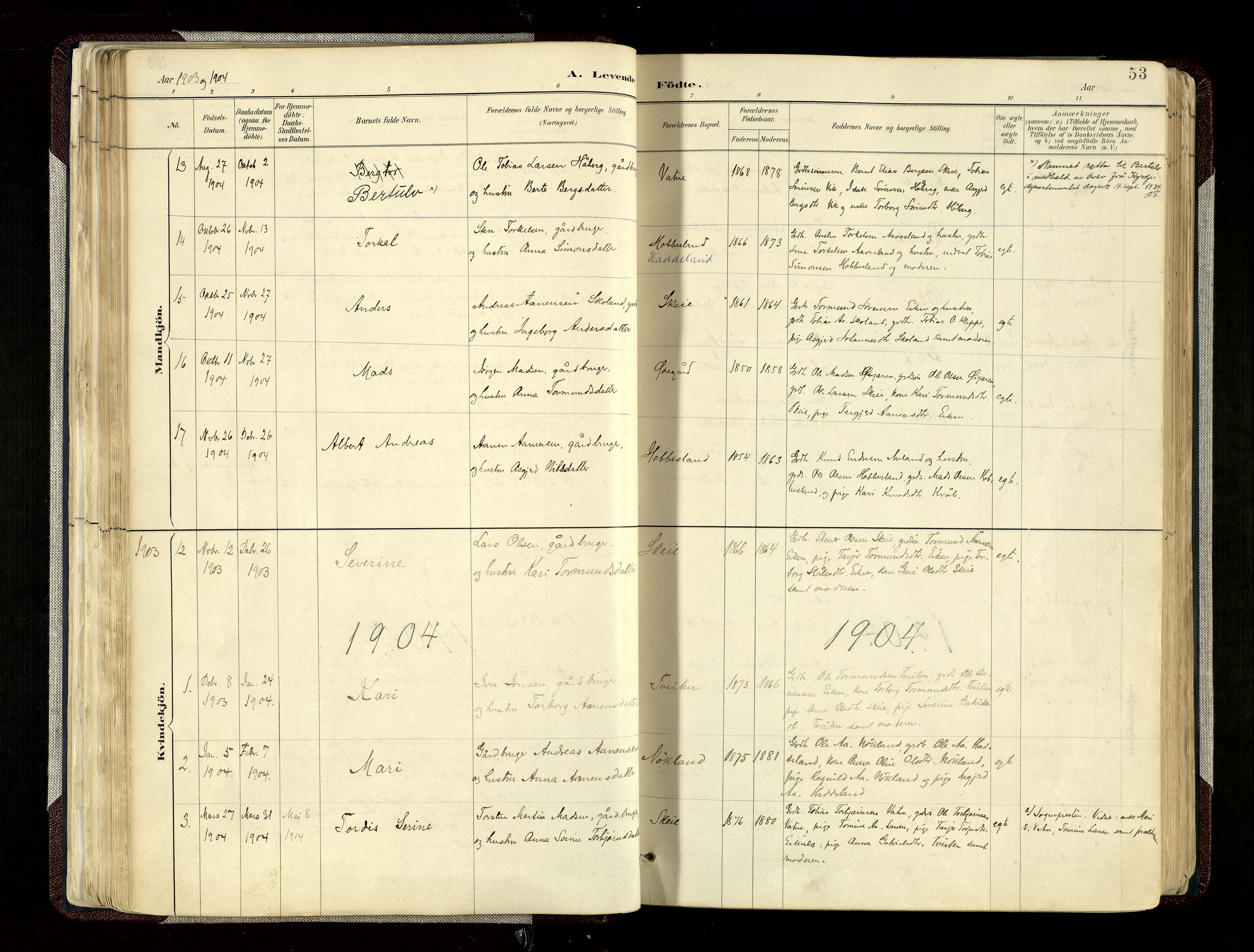 Hægebostad sokneprestkontor, AV/SAK-1111-0024/F/Fa/Fab/L0004: Ministerialbok nr. A 4, 1887-1929, s. 53