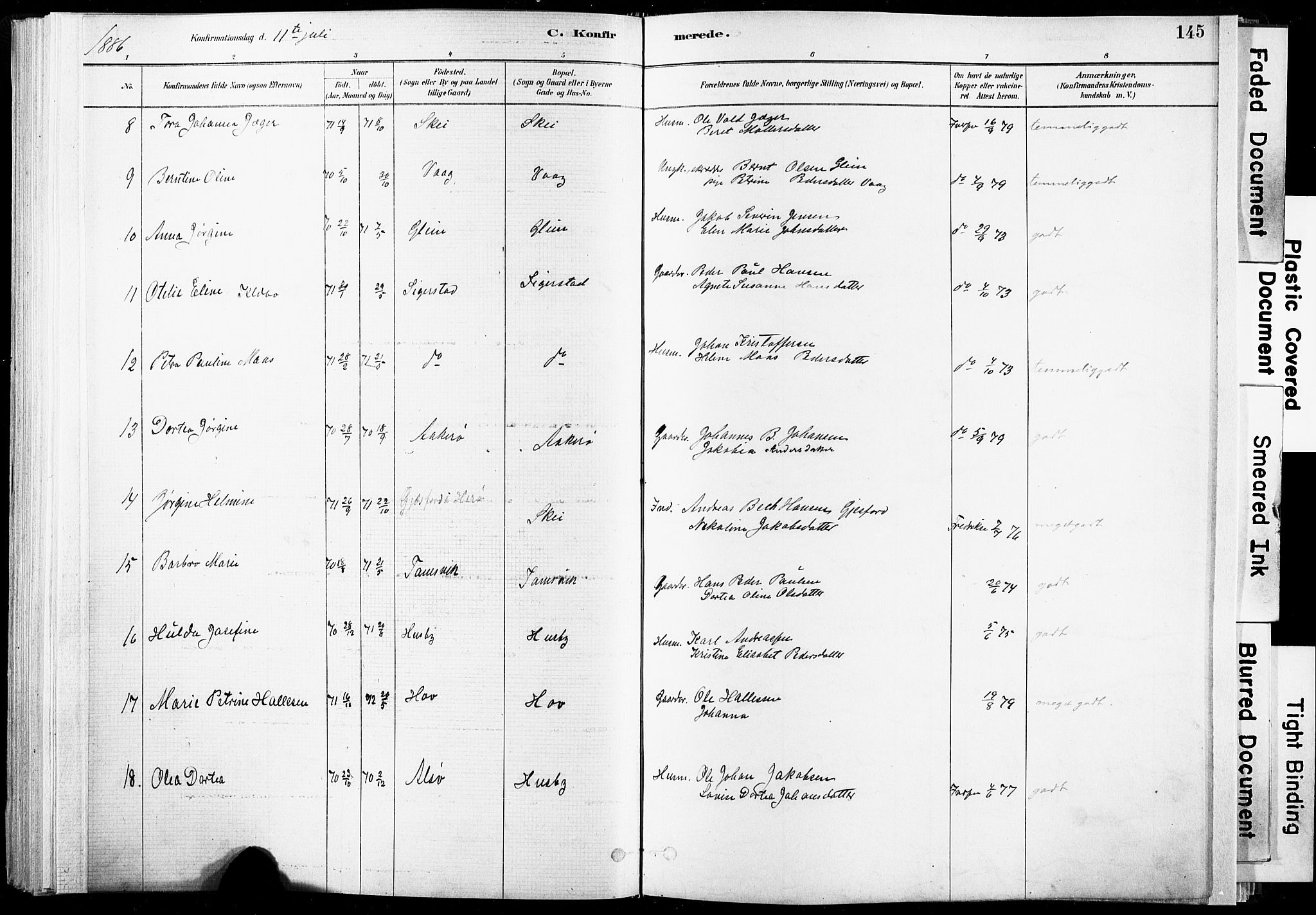 Ministerialprotokoller, klokkerbøker og fødselsregistre - Nordland, AV/SAT-A-1459/835/L0525: Ministerialbok nr. 835A03I, 1881-1910, s. 145