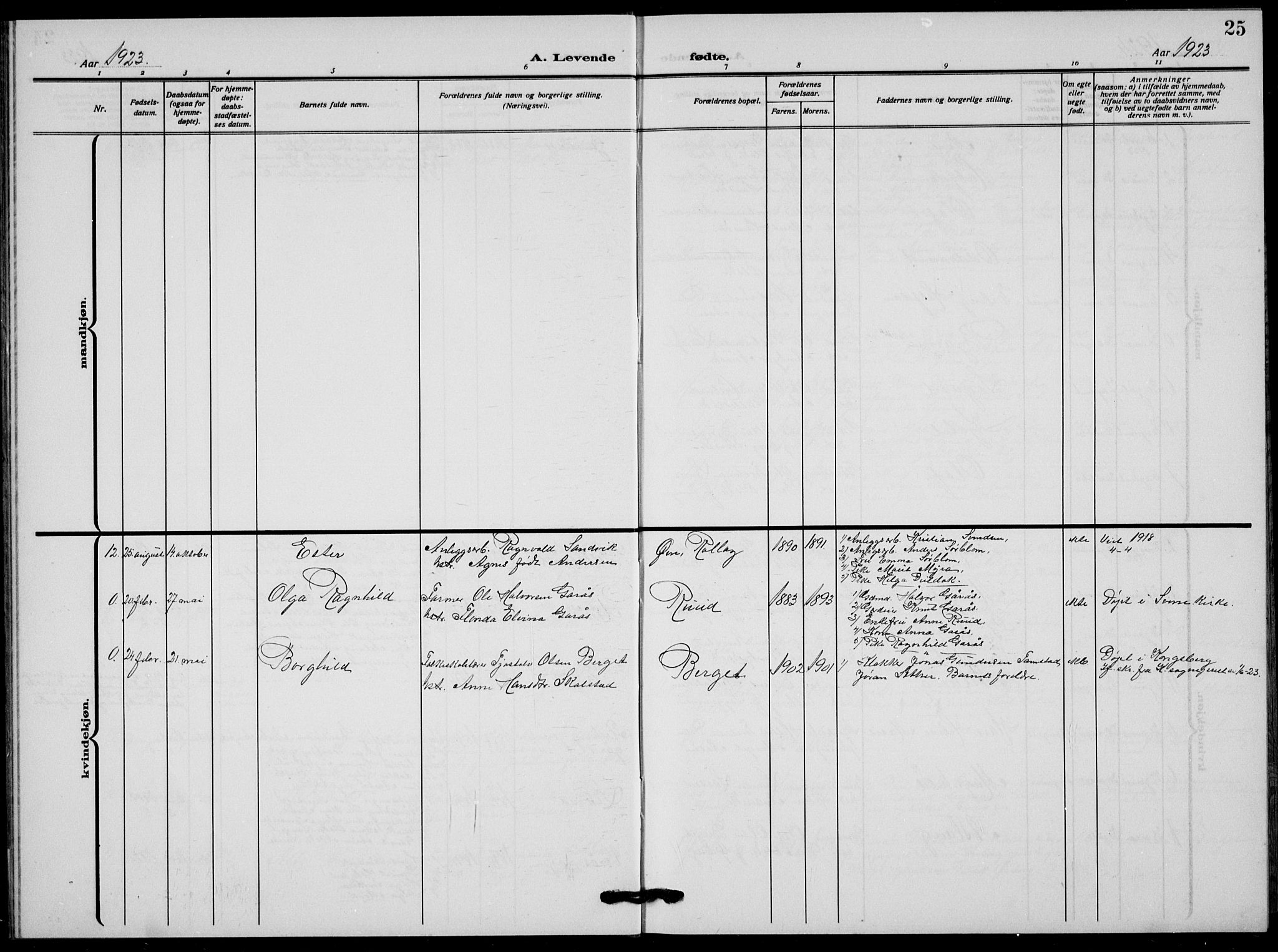 Flesberg kirkebøker, AV/SAKO-A-18/G/Ga/L0006: Klokkerbok nr. I 6, 1909-1924, s. 25