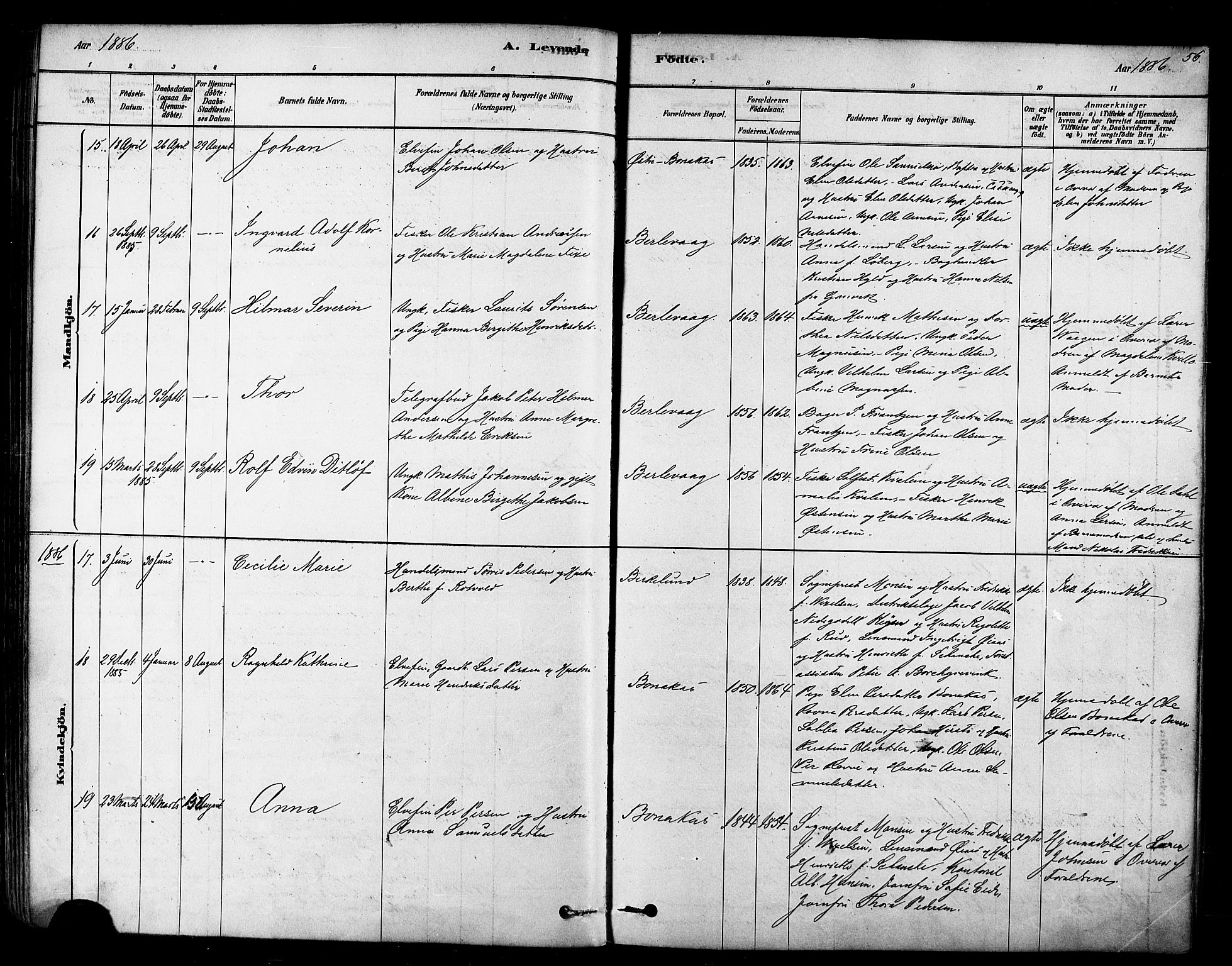 Tana sokneprestkontor, AV/SATØ-S-1334/H/Ha/L0004kirke: Ministerialbok nr. 4, 1878-1891, s. 56