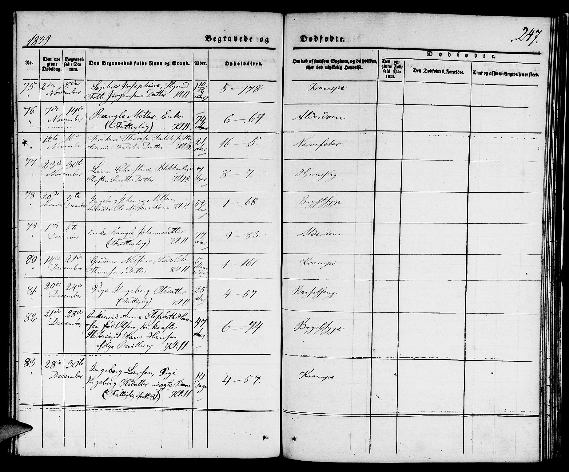 Nykirken Sokneprestembete, AV/SAB-A-77101/H/Hab: Klokkerbok nr. E 1, 1840-1866, s. 247