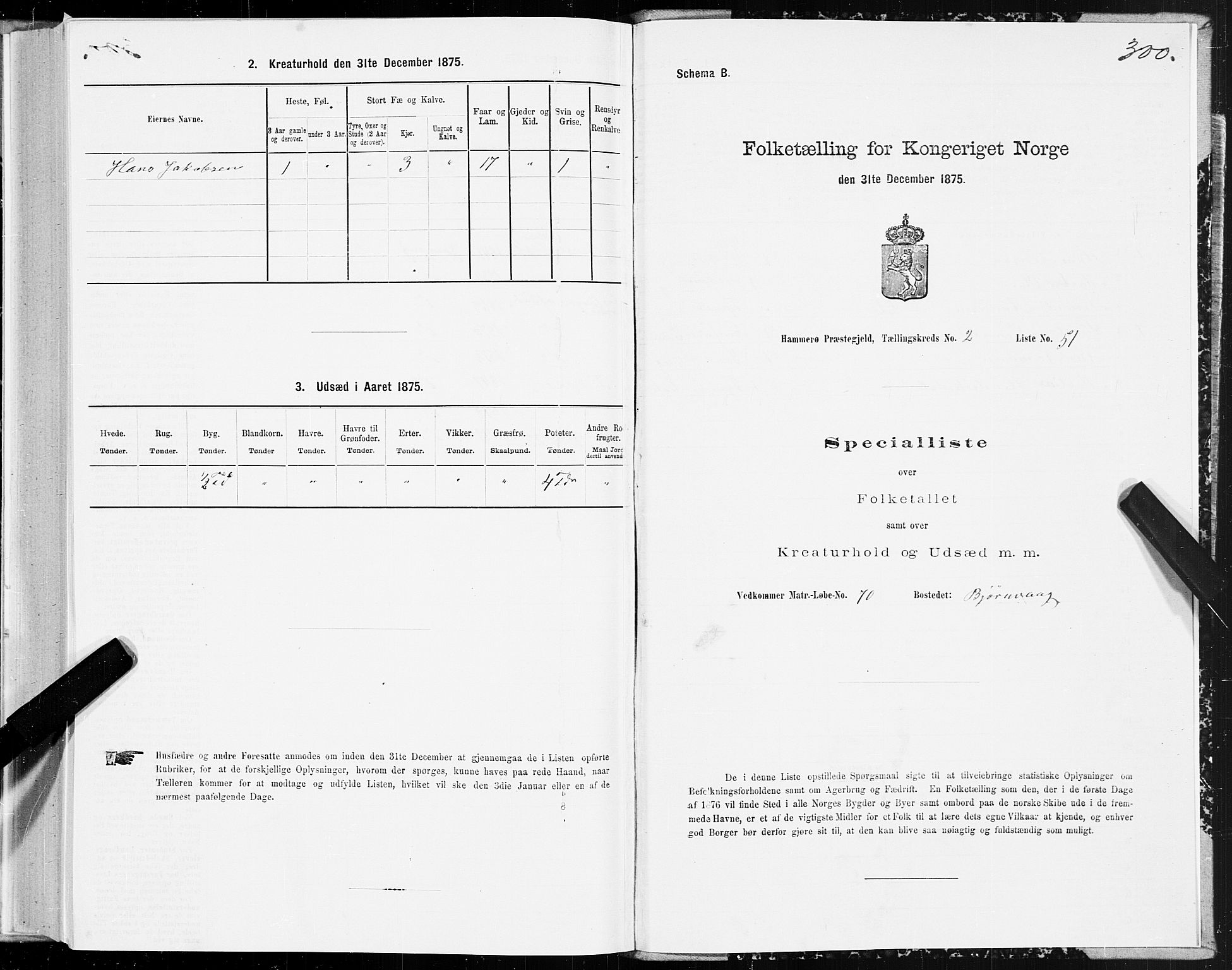 SAT, Folketelling 1875 for 1849P Hamarøy prestegjeld, 1875, s. 1300