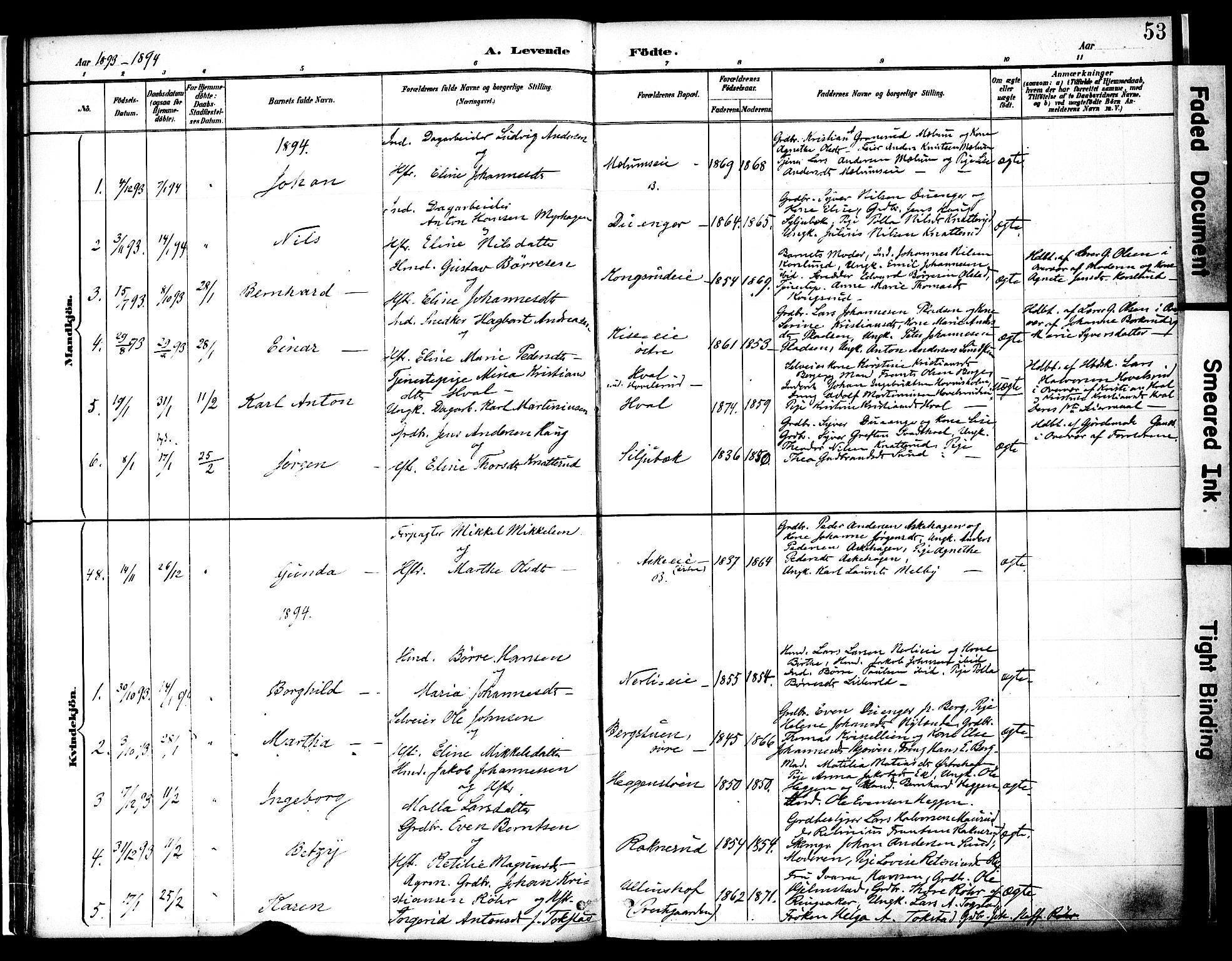 Nes prestekontor, Hedmark, AV/SAH-PREST-020/K/Ka/L0009: Ministerialbok nr. 9, 1887-1905, s. 53