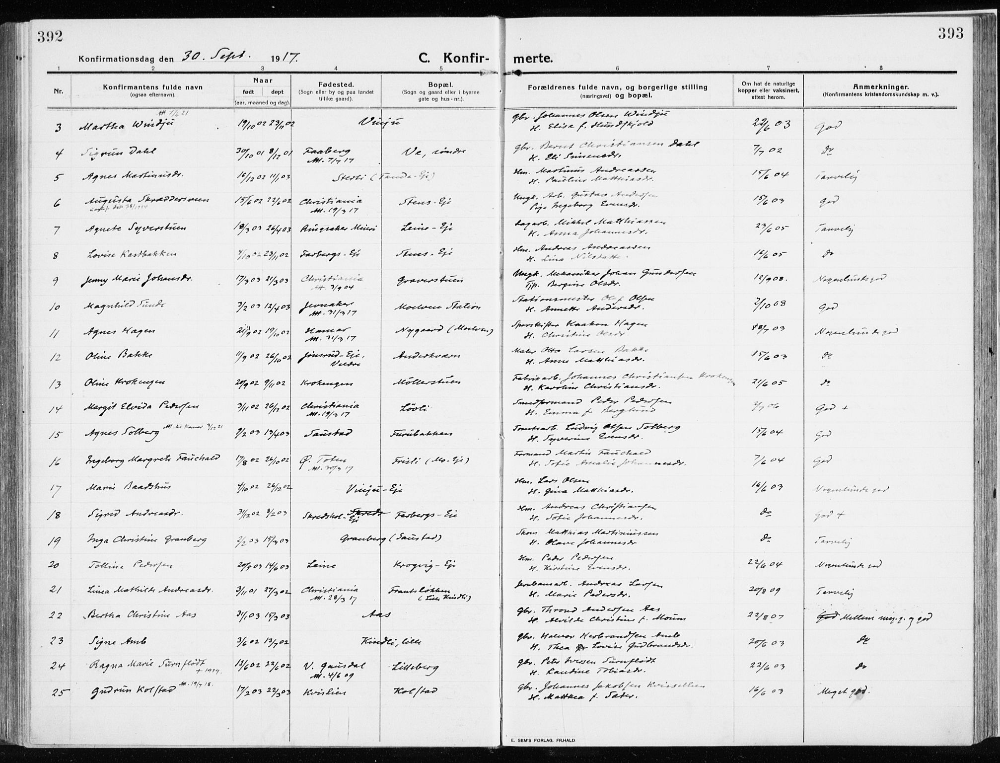 Ringsaker prestekontor, AV/SAH-PREST-014/K/Ka/L0020: Ministerialbok nr. 20, 1913-1922, s. 392-393