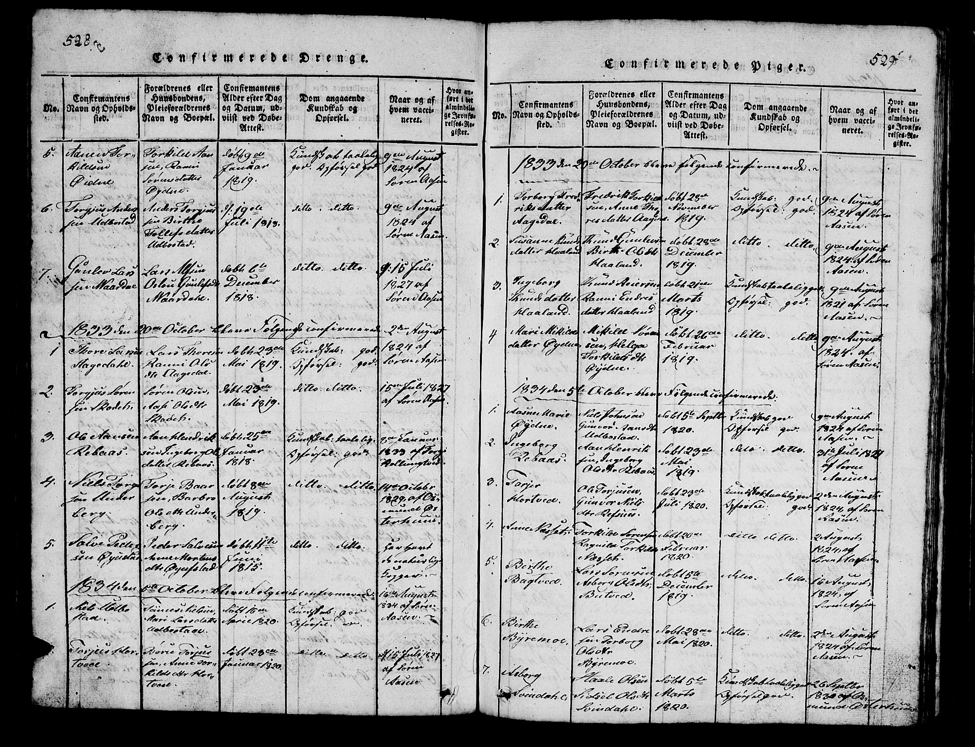 Bjelland sokneprestkontor, SAK/1111-0005/F/Fb/Fbc/L0001: Klokkerbok nr. B 1, 1815-1870, s. 528-529