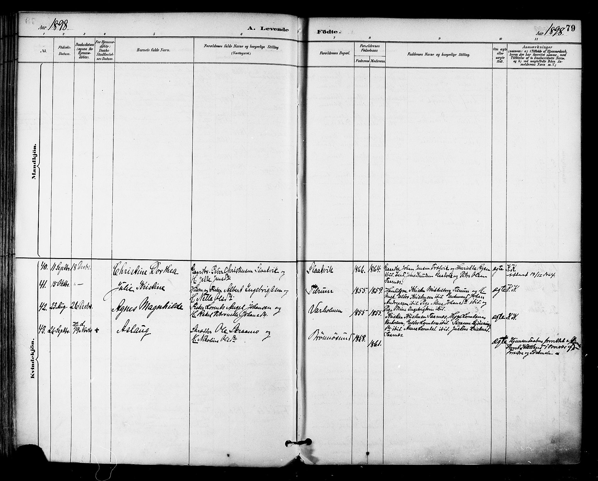 Ministerialprotokoller, klokkerbøker og fødselsregistre - Nordland, SAT/A-1459/813/L0200: Ministerialbok nr. 813A10, 1886-1900, s. 79