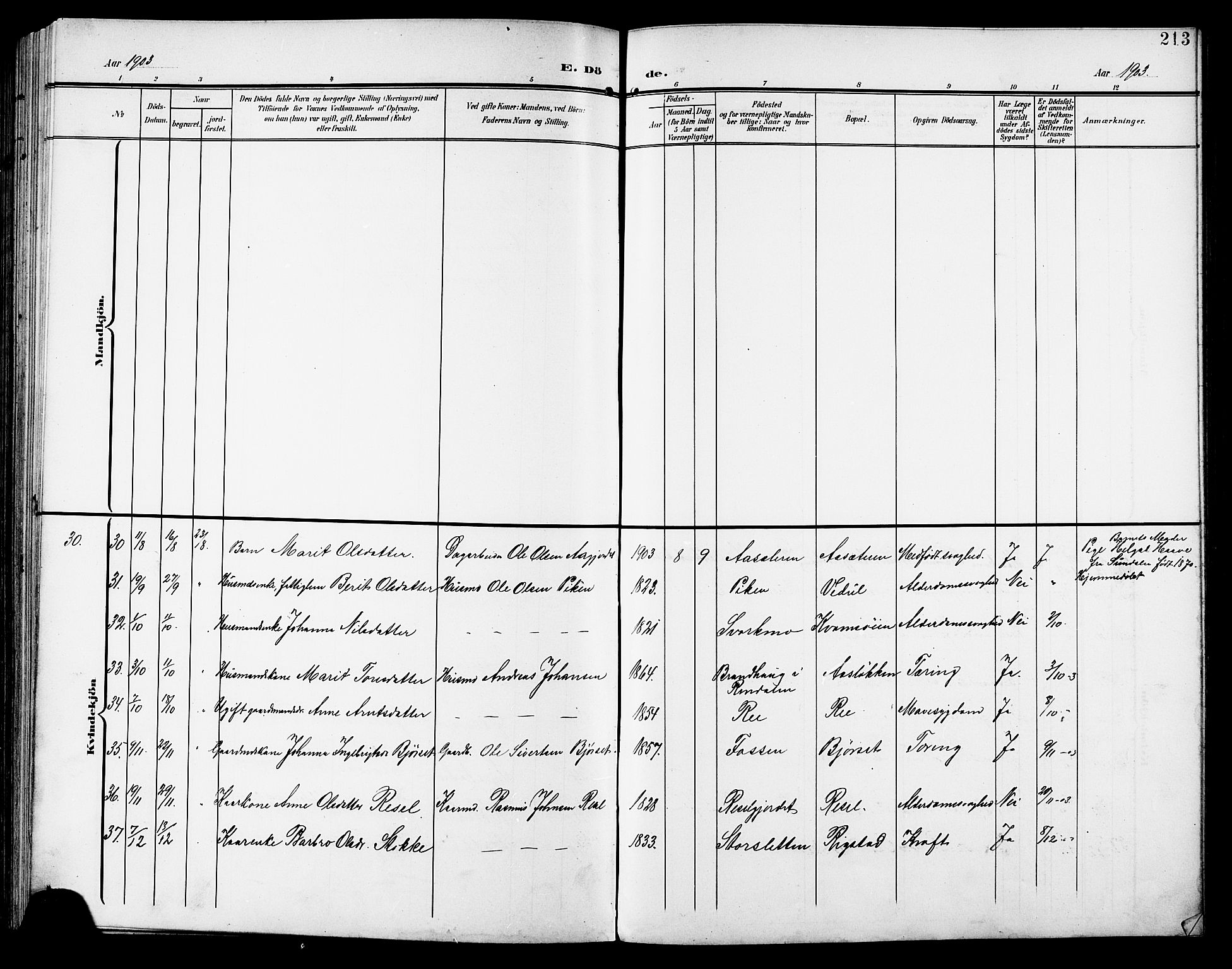 Ministerialprotokoller, klokkerbøker og fødselsregistre - Sør-Trøndelag, AV/SAT-A-1456/672/L0864: Klokkerbok nr. 672C03, 1902-1914, s. 213