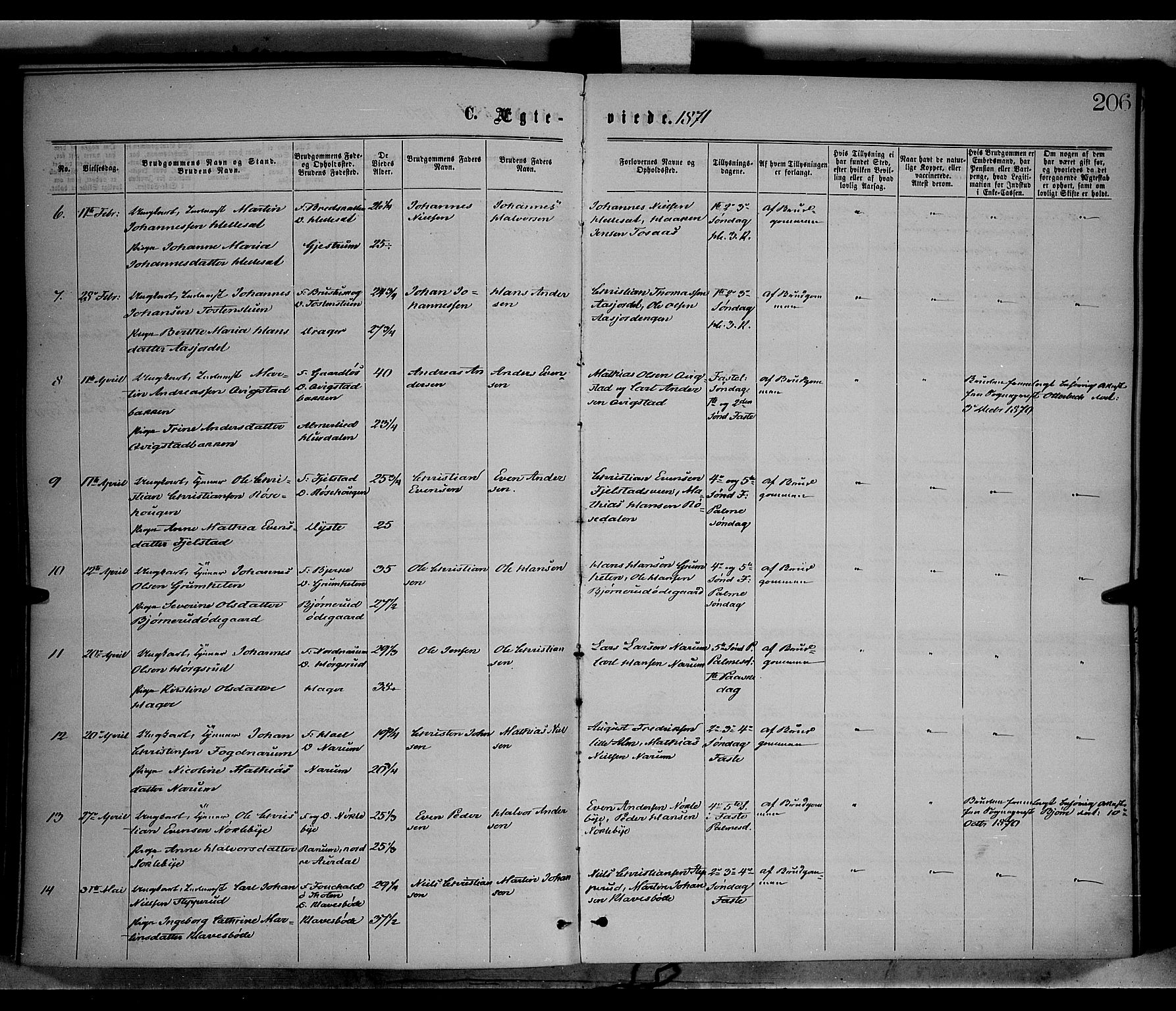 Vestre Toten prestekontor, SAH/PREST-108/H/Ha/Haa/L0008: Ministerialbok nr. 8, 1870-1877, s. 206