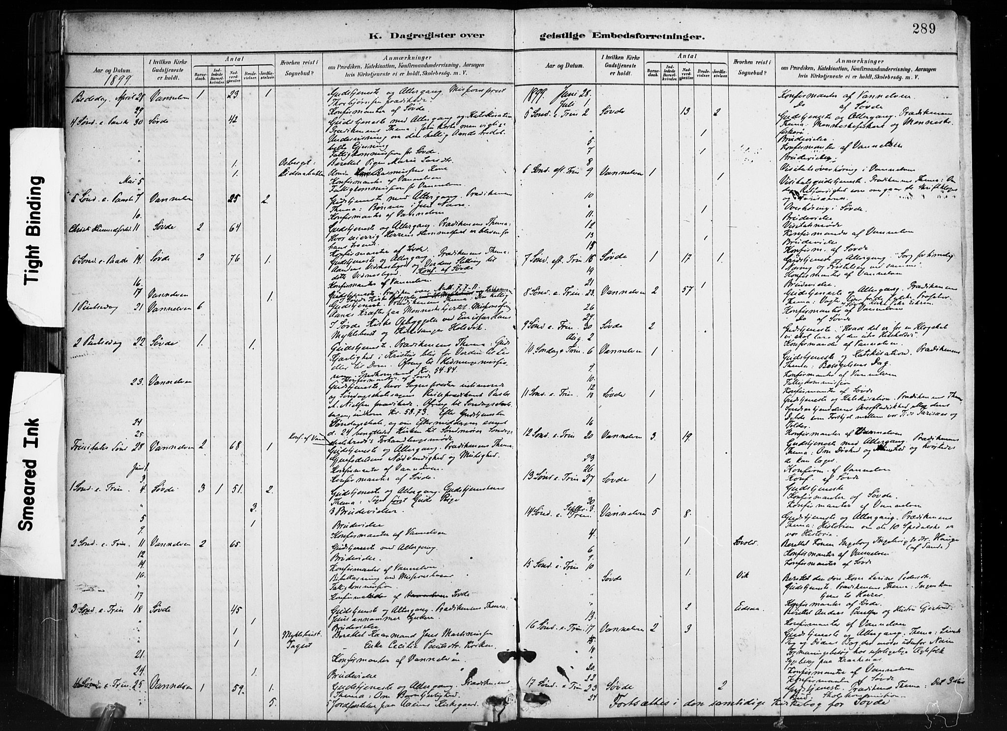 Ministerialprotokoller, klokkerbøker og fødselsregistre - Møre og Romsdal, AV/SAT-A-1454/501/L0008: Ministerialbok nr. 501A08, 1885-1901, s. 289