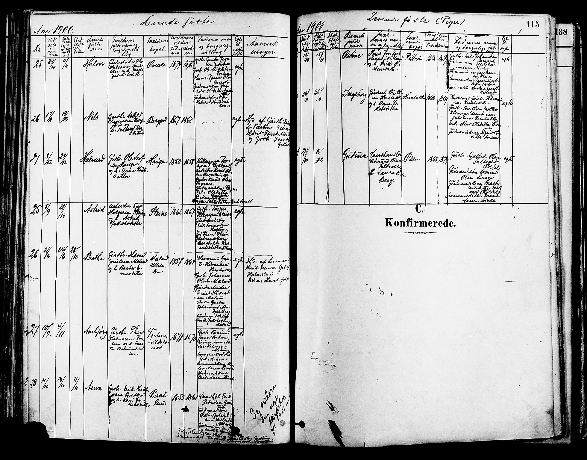 Suldal sokneprestkontor, AV/SAST-A-101845/01/IV/L0011: Ministerialbok nr. A 11, 1878-1900, s. 115