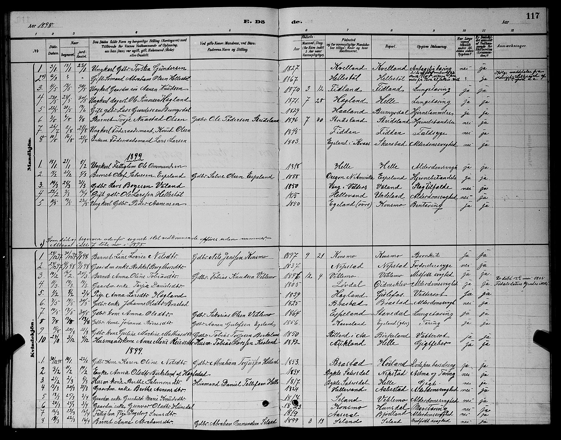 Nord-Audnedal sokneprestkontor, SAK/1111-0032/F/Fb/Fba/L0003: Klokkerbok nr. B 3, 1881-1900, s. 117