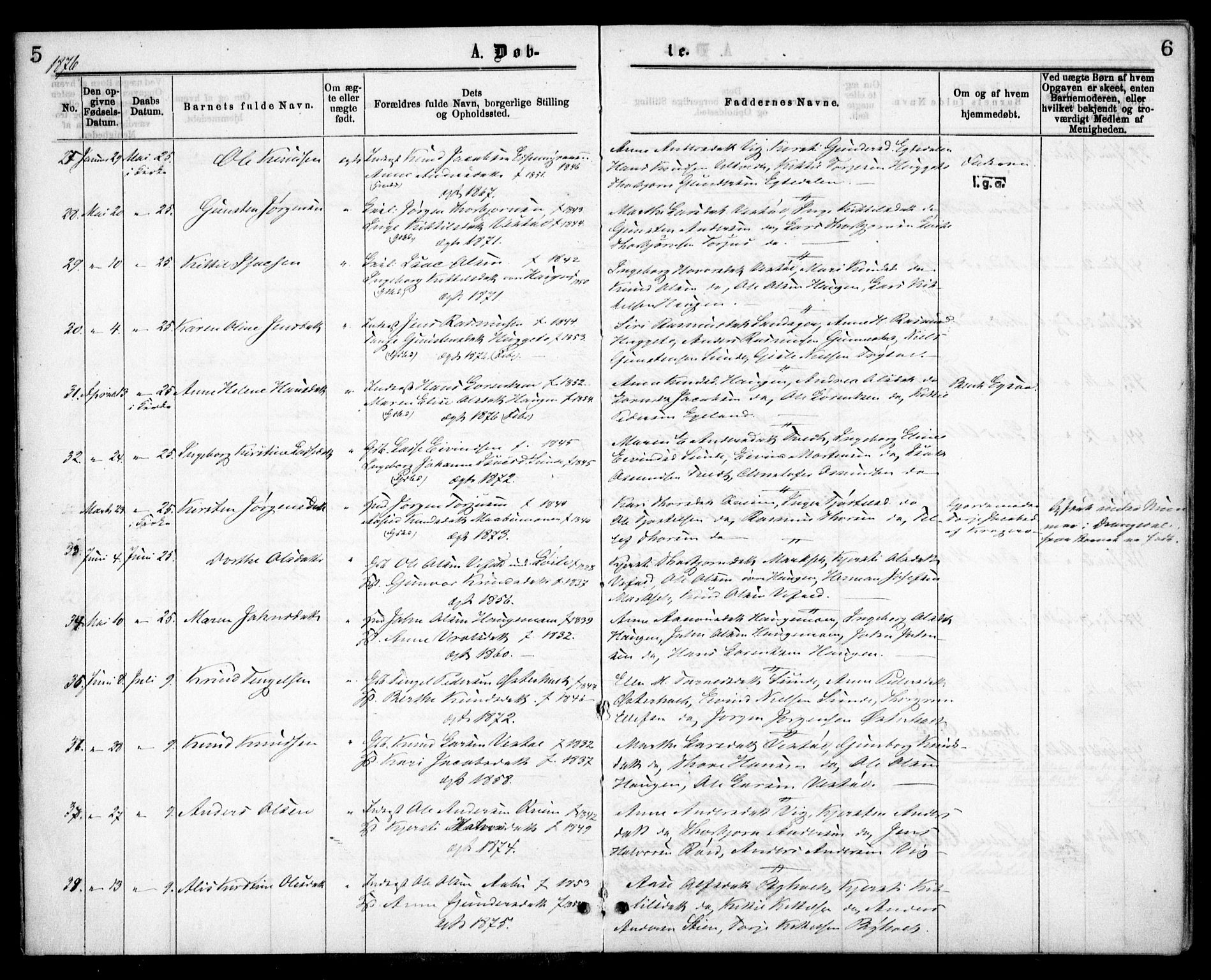 Gjerstad sokneprestkontor, AV/SAK-1111-0014/F/Fa/Faa/L0008: Ministerialbok nr. A 8, 1876-1884, s. 5-6
