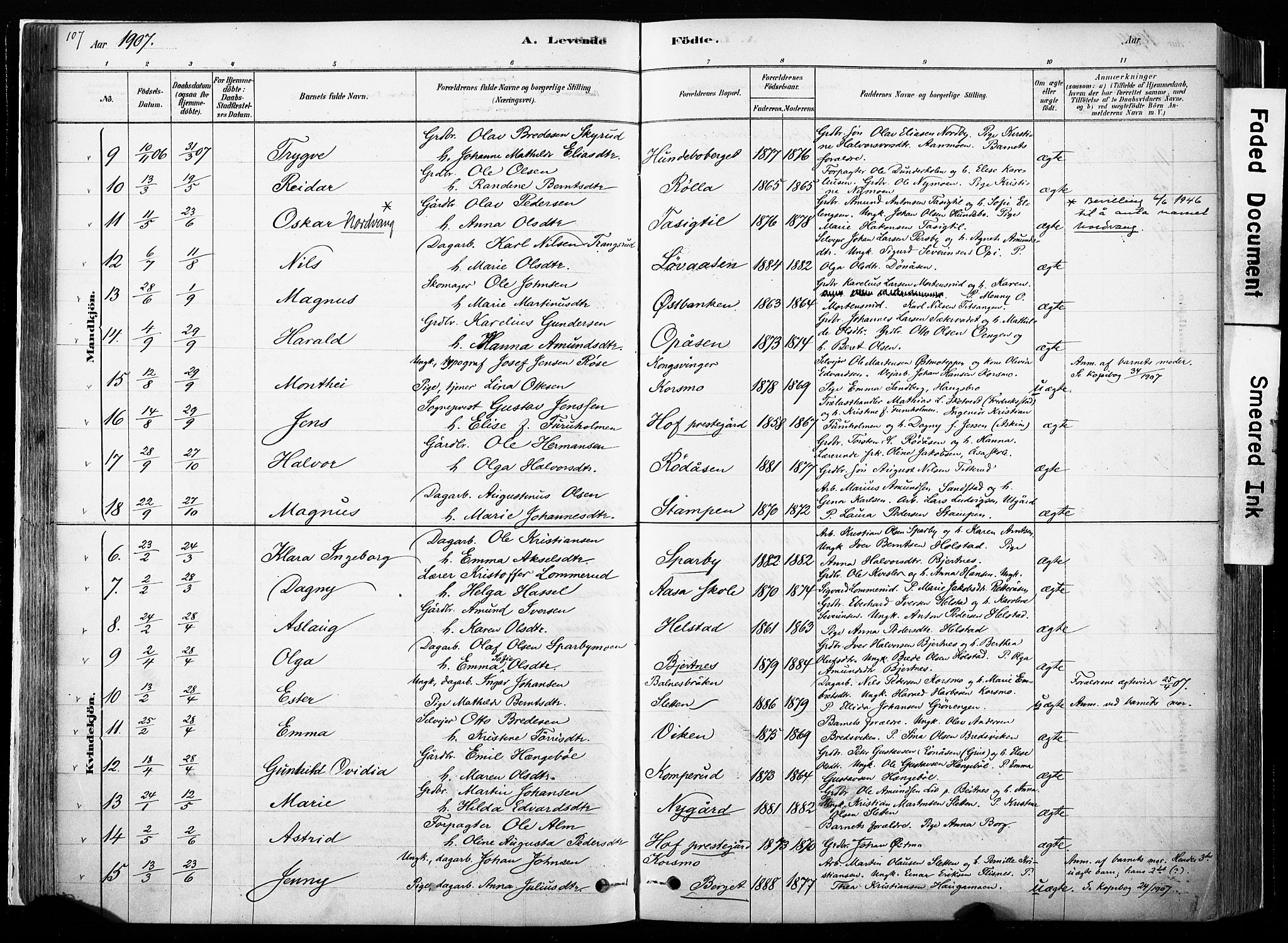 Hof prestekontor, AV/SAH-PREST-038/H/Ha/Haa/L0010: Ministerialbok nr. 10, 1878-1909, s. 107