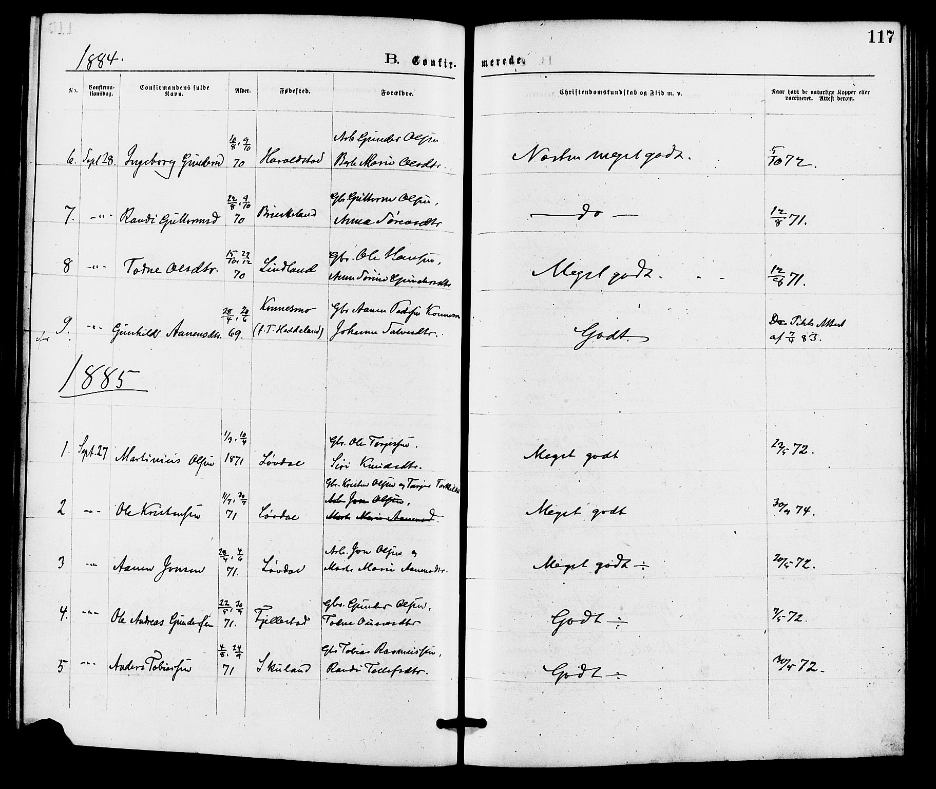 Holum sokneprestkontor, SAK/1111-0022/F/Fa/Fab/L0006: Ministerialbok nr. A 6, 1875-1886, s. 117