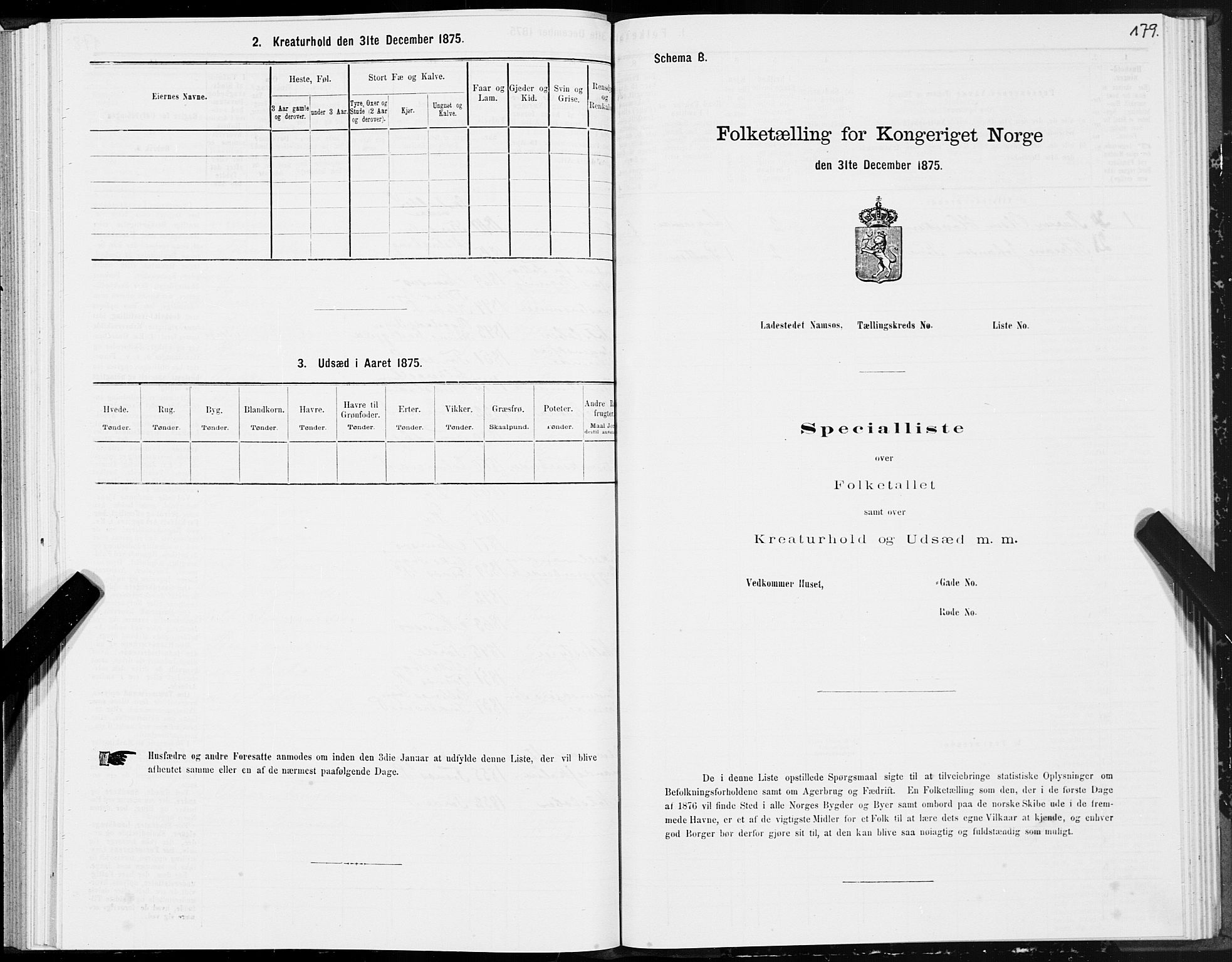 SAT, Folketelling 1875 for 1703B Namsos prestegjeld, Namsos ladested, 1875, s. 179