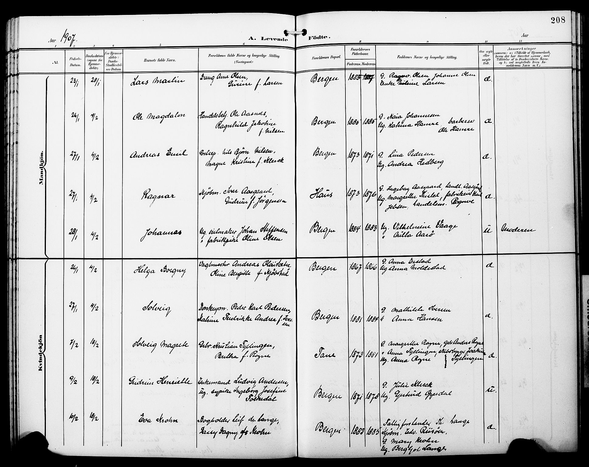 Fødselsstiftelsens sokneprestembete*, SAB/-: Klokkerbok nr. A 1, 1900-1909, s. 208