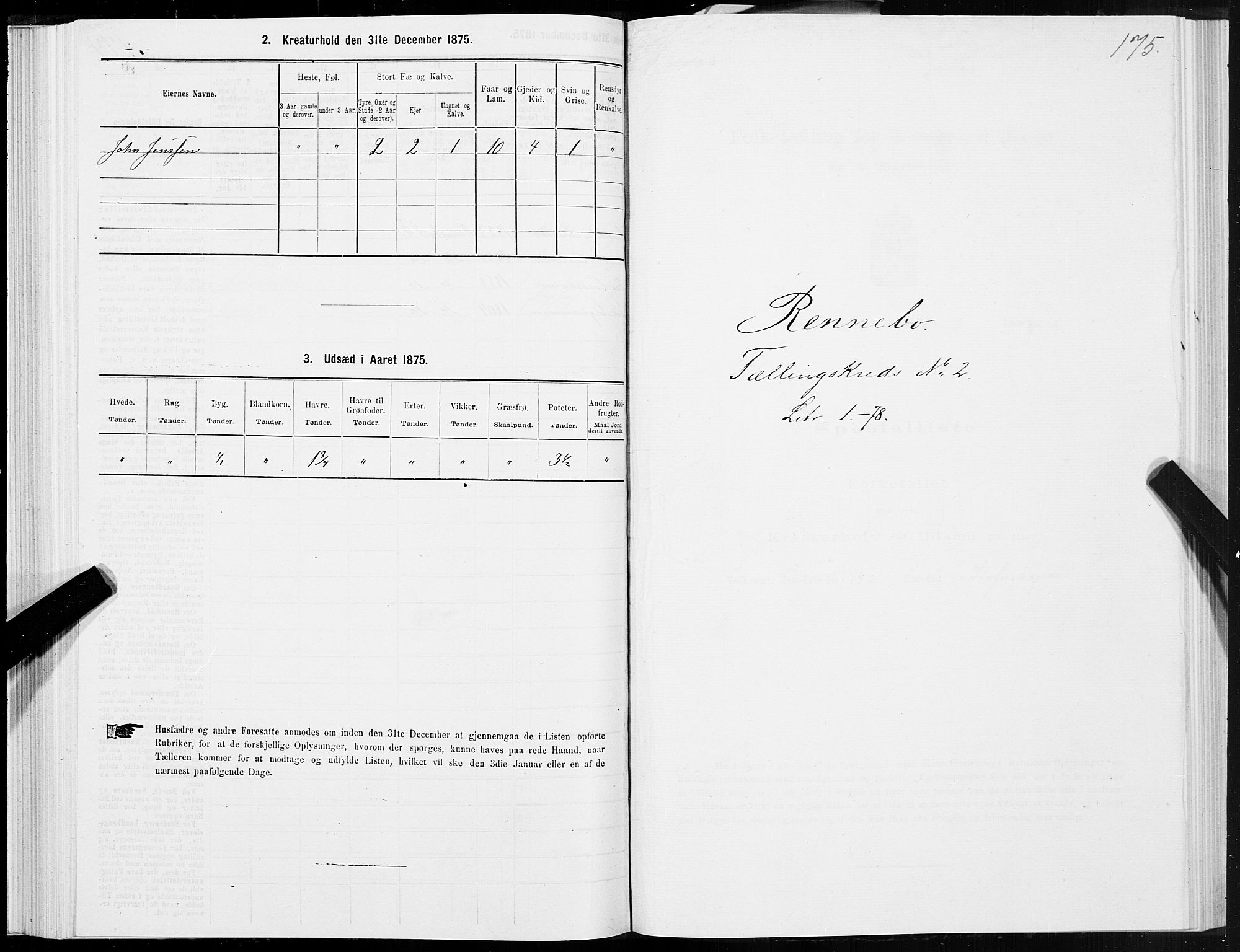 SAT, Folketelling 1875 for 1635P Rennebu prestegjeld, 1875, s. 1175