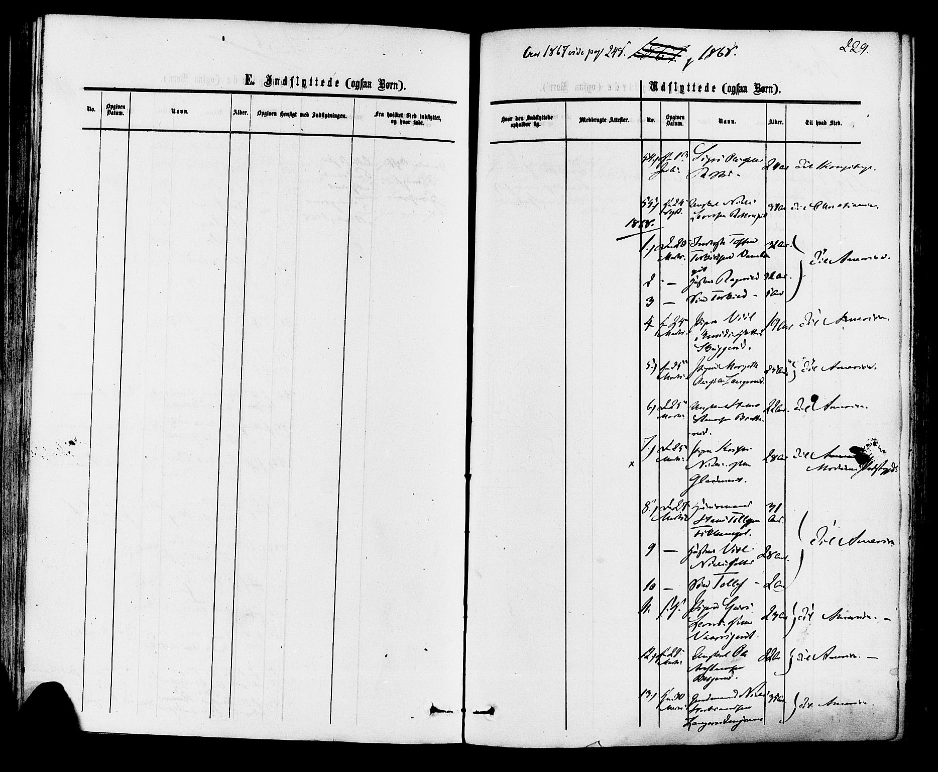 Rollag kirkebøker, AV/SAKO-A-240/F/Fa/L0009: Ministerialbok nr. I 9, 1860-1874, s. 229
