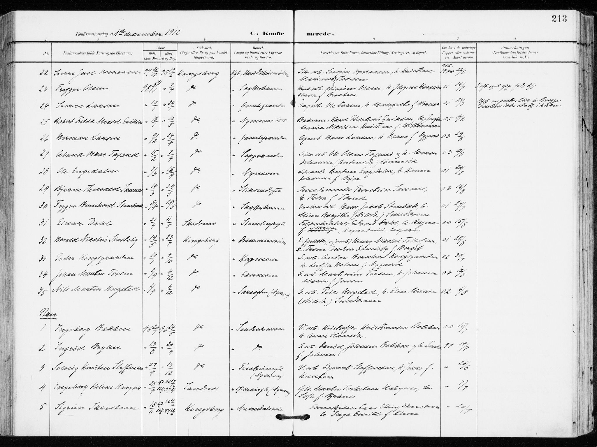 Kongsberg kirkebøker, AV/SAKO-A-22/F/Fb/L0004: Ministerialbok nr. II 4, 1906-1918, s. 213