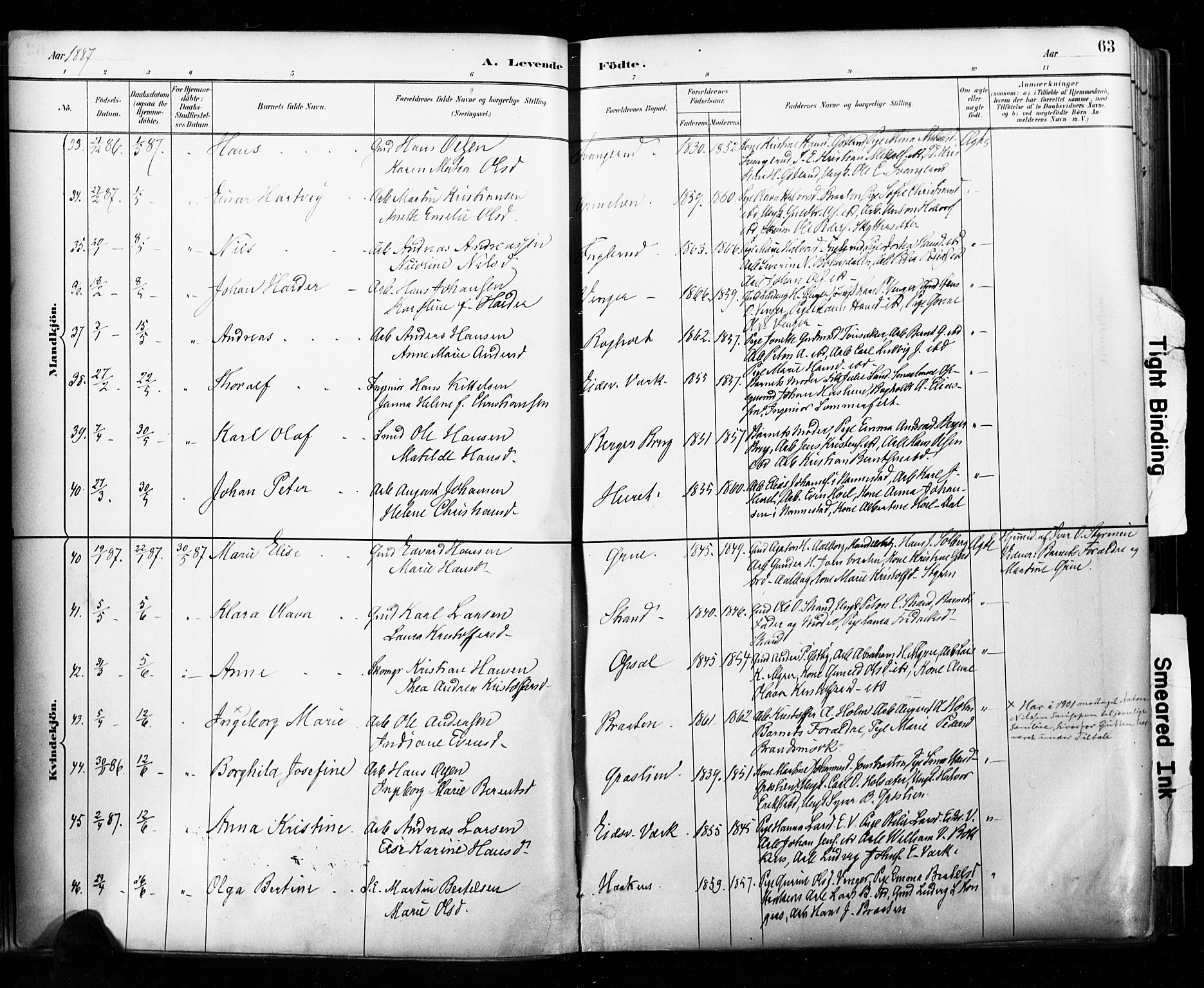 Eidsvoll prestekontor Kirkebøker, AV/SAO-A-10888/F/Fa/L0002: Ministerialbok nr. I 2, 1882-1895, s. 63