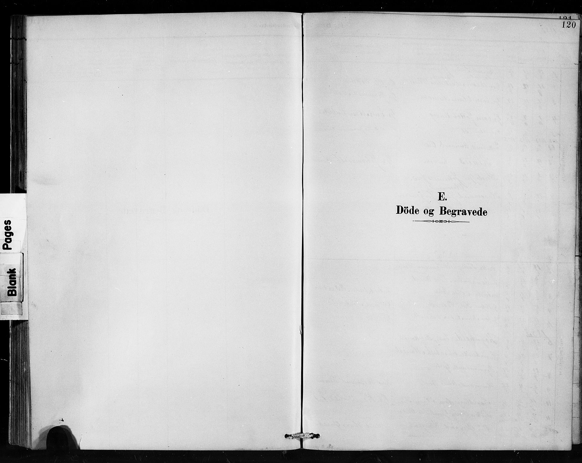 Hafslo sokneprestembete, SAB/A-80301/H/Hab/Habc/L0001: Klokkerbok nr. C 1, 1882-1908, s. 120