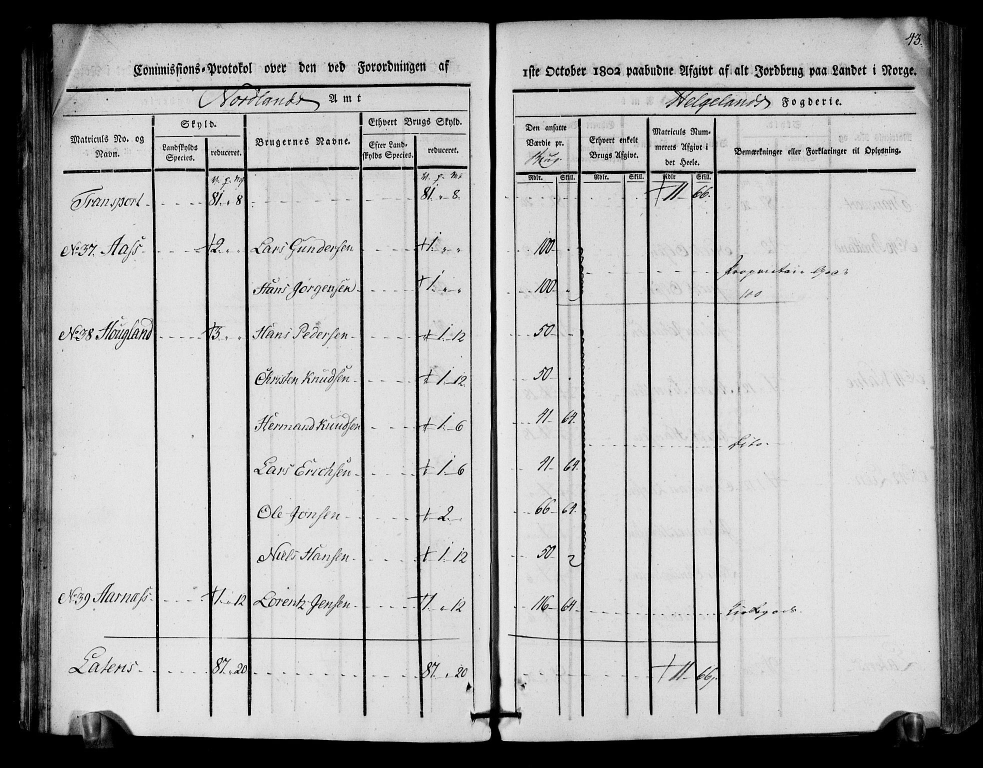 Rentekammeret inntil 1814, Realistisk ordnet avdeling, AV/RA-EA-4070/N/Ne/Nea/L0157: Helgeland fogderi. Kommisjonsprotokoll, 1803, s. 41