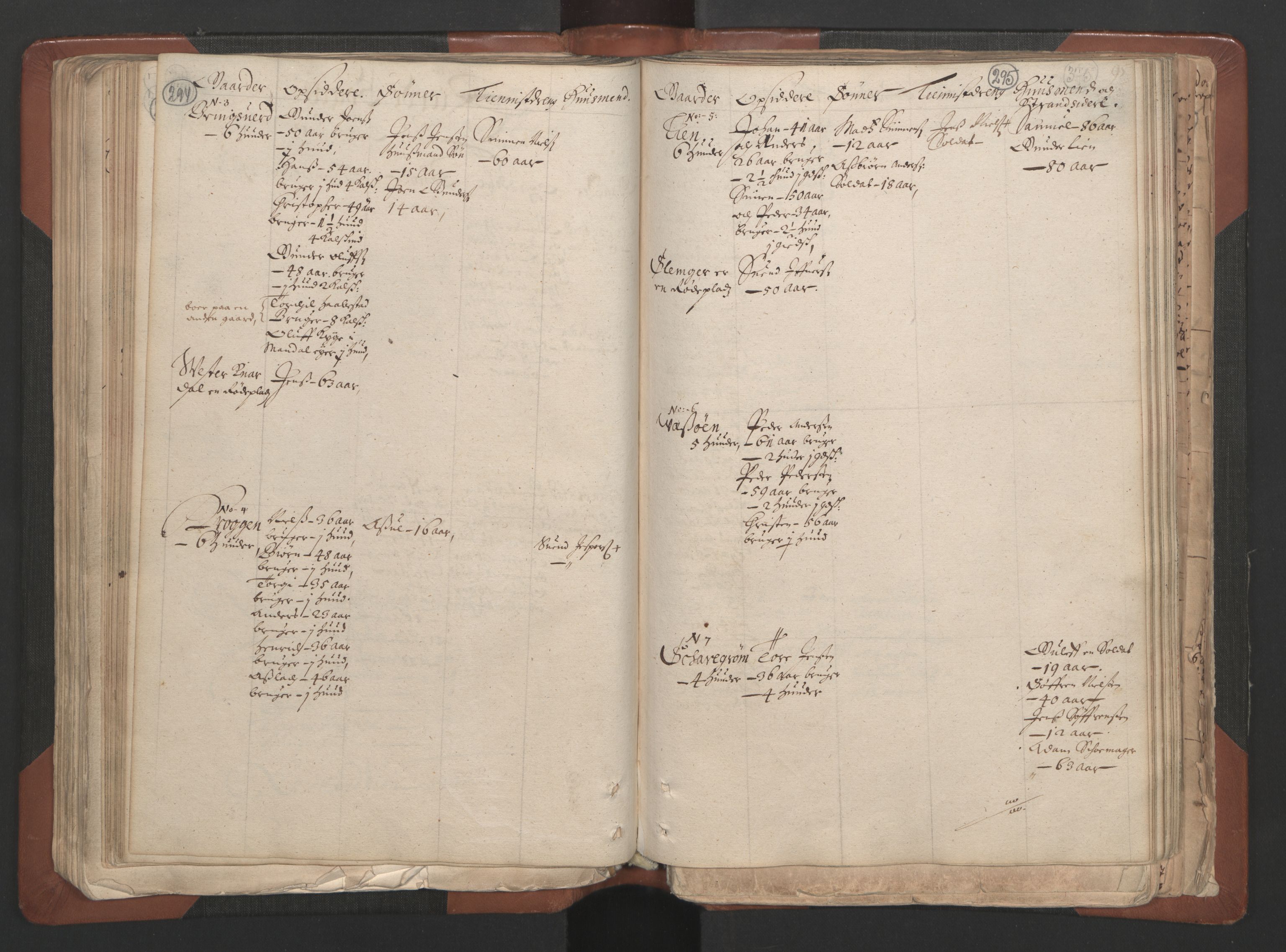 RA, Fogdenes og sorenskrivernes manntall 1664-1666, nr. 7: Nedenes fogderi, 1664-1666, s. 294-295