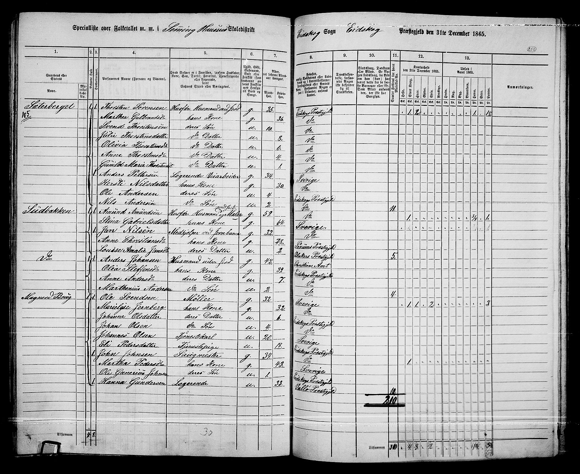 RA, Folketelling 1865 for 0420P Eidskog prestegjeld, 1865, s. 232