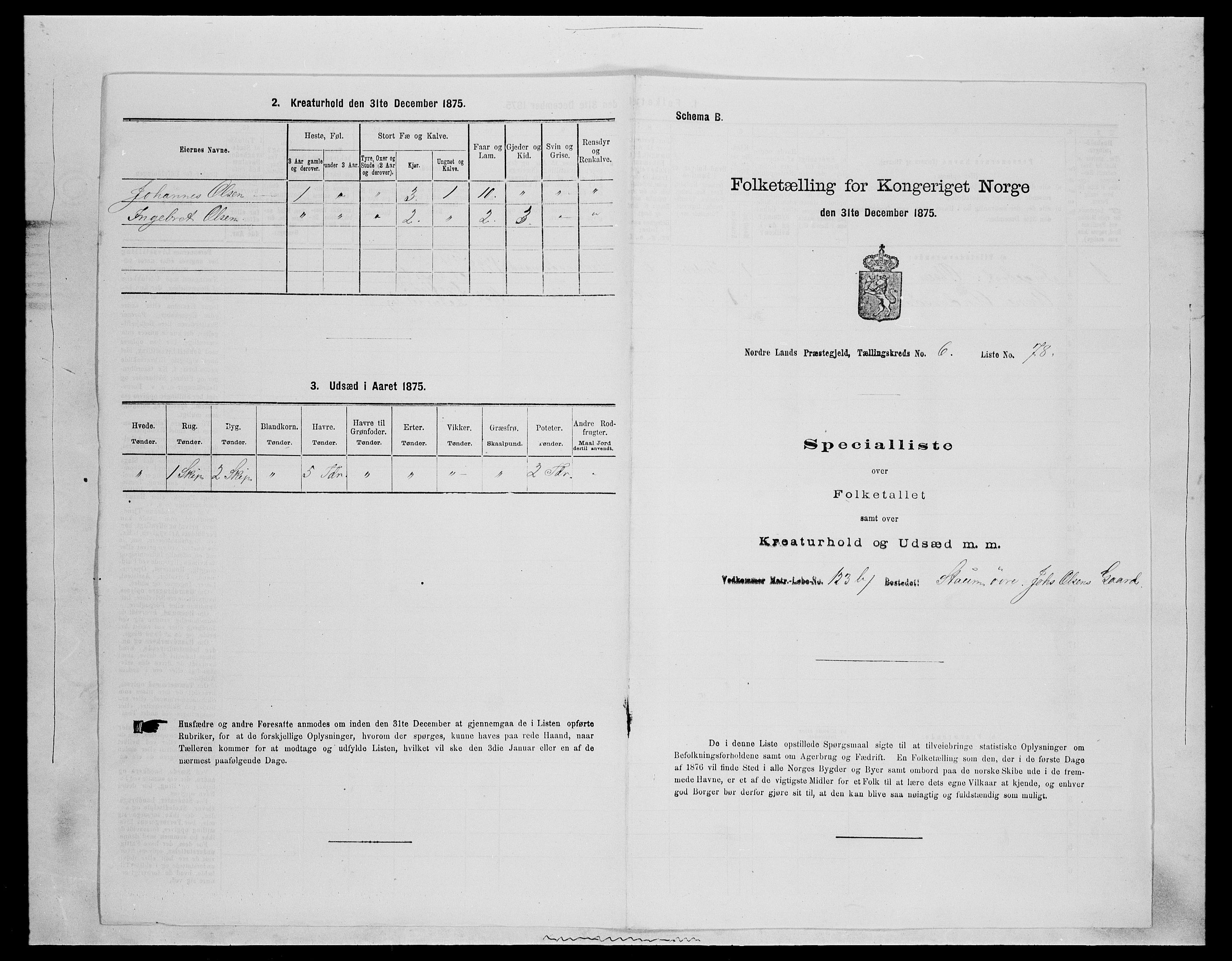 SAH, Folketelling 1875 for 0538P Nordre Land prestegjeld, 1875, s. 1079