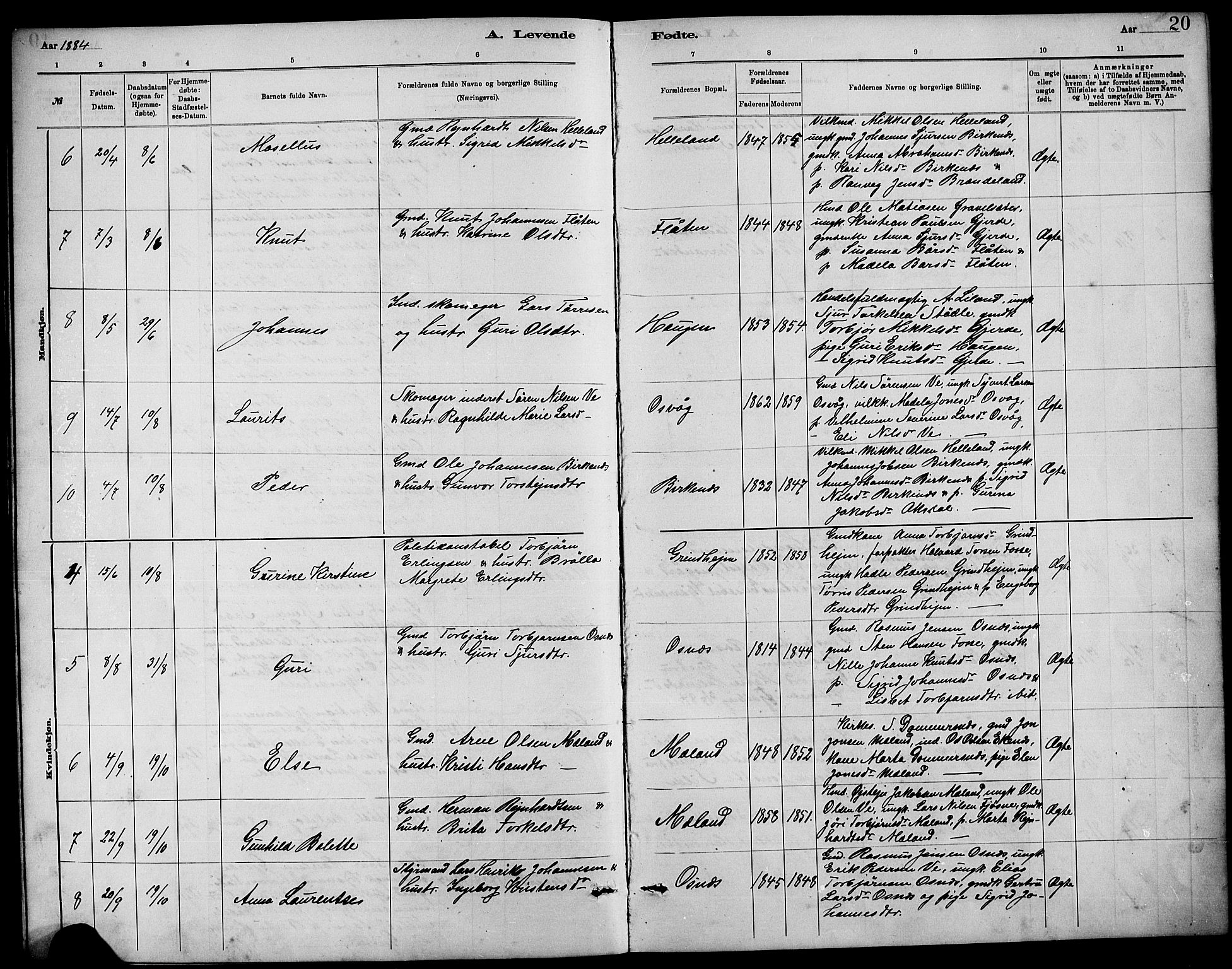 Etne sokneprestembete, AV/SAB-A-75001/H/Hab: Klokkerbok nr. B 4, 1879-1897, s. 20