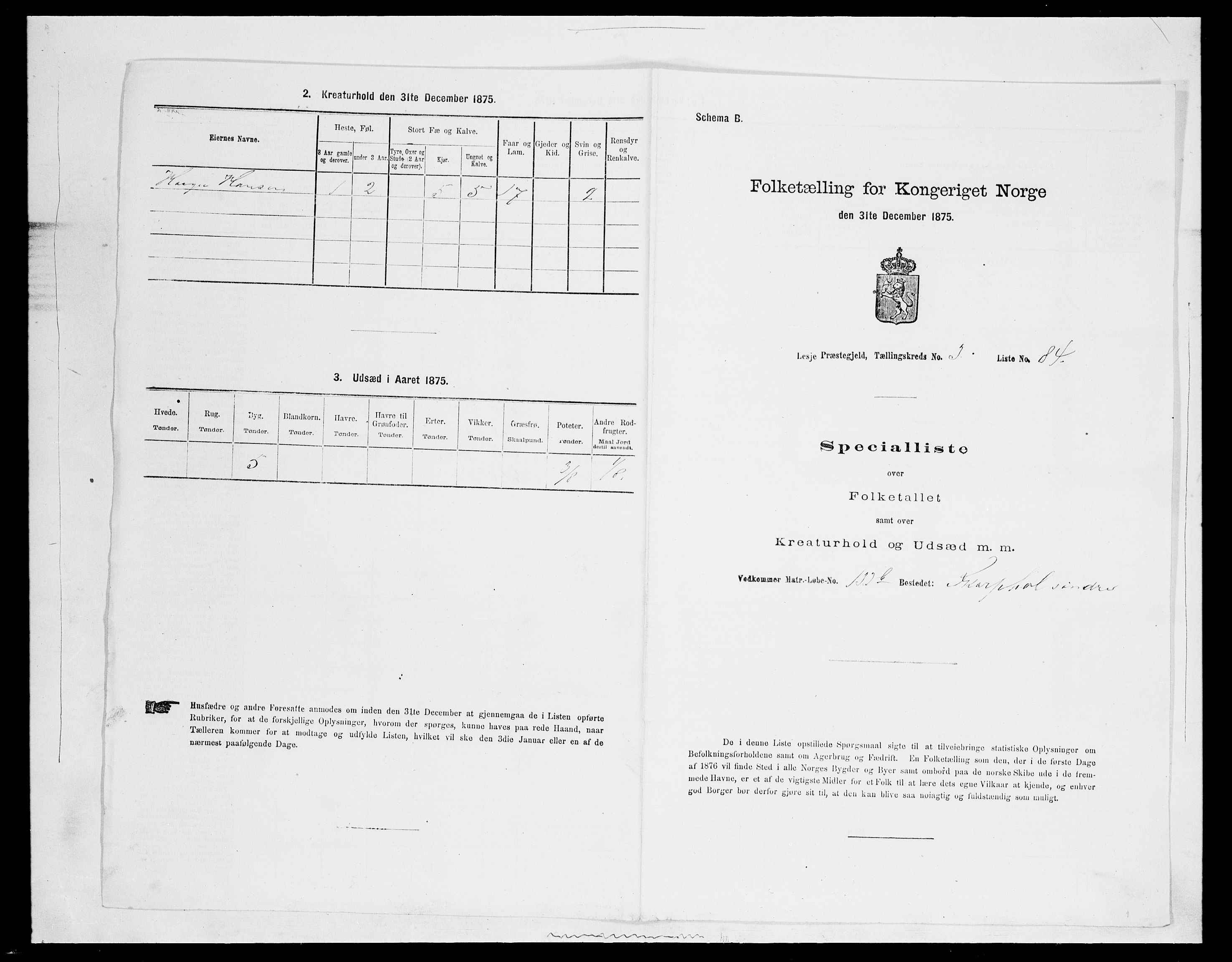 SAH, Folketelling 1875 for 0512P Lesja prestegjeld, 1875, s. 538